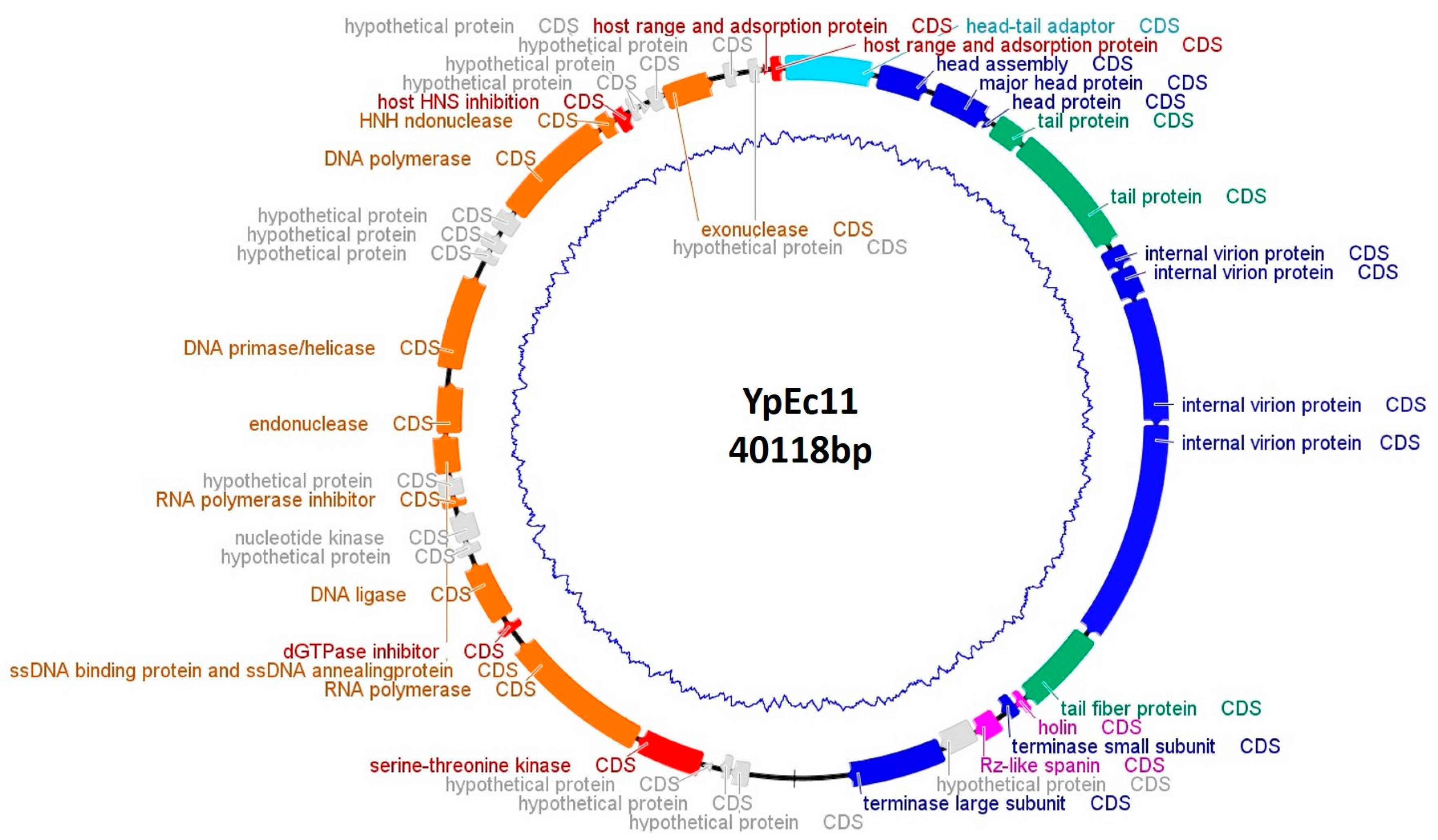 Viruses 15 01484 g004