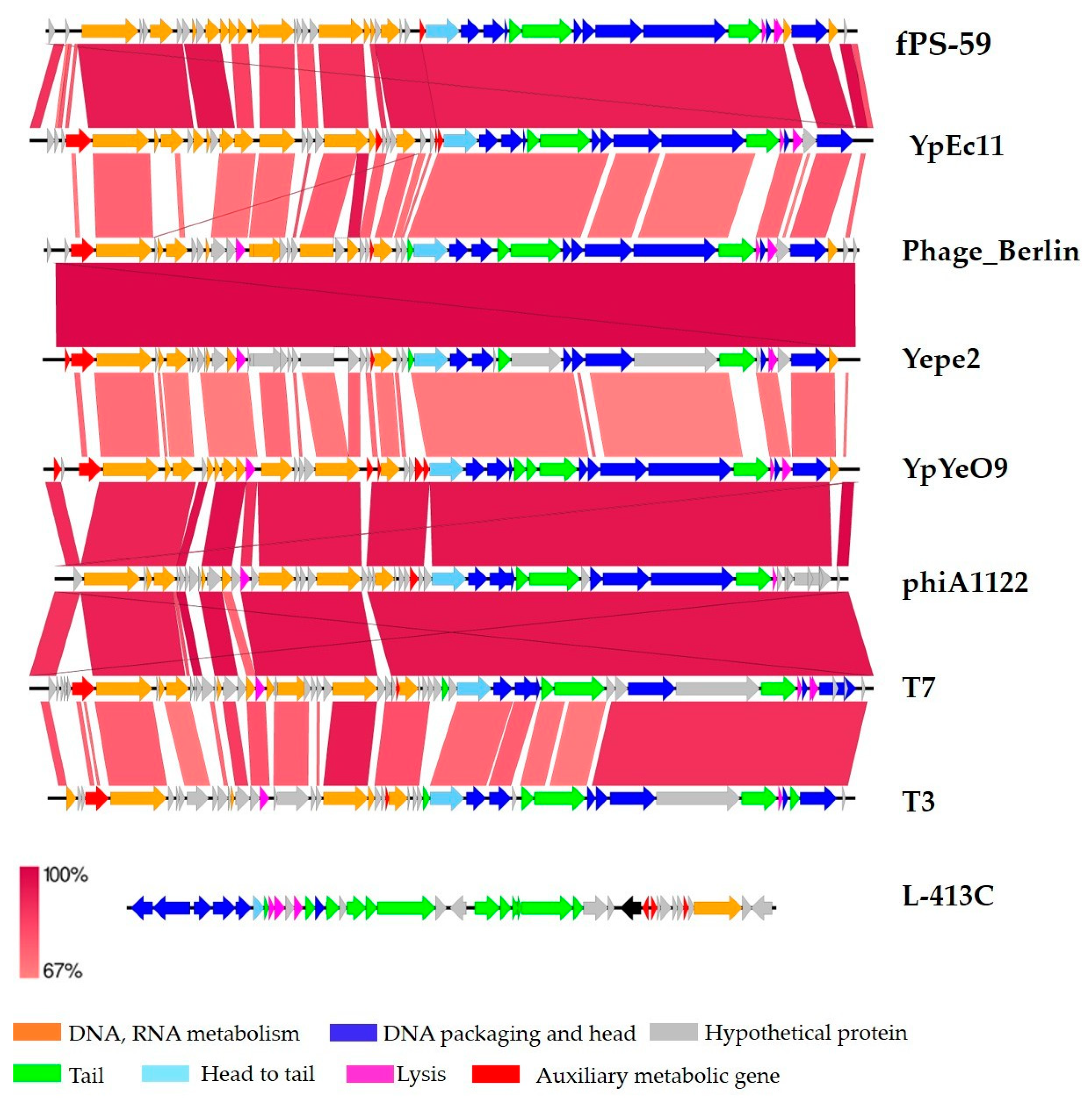 Viruses 15 01484 g005