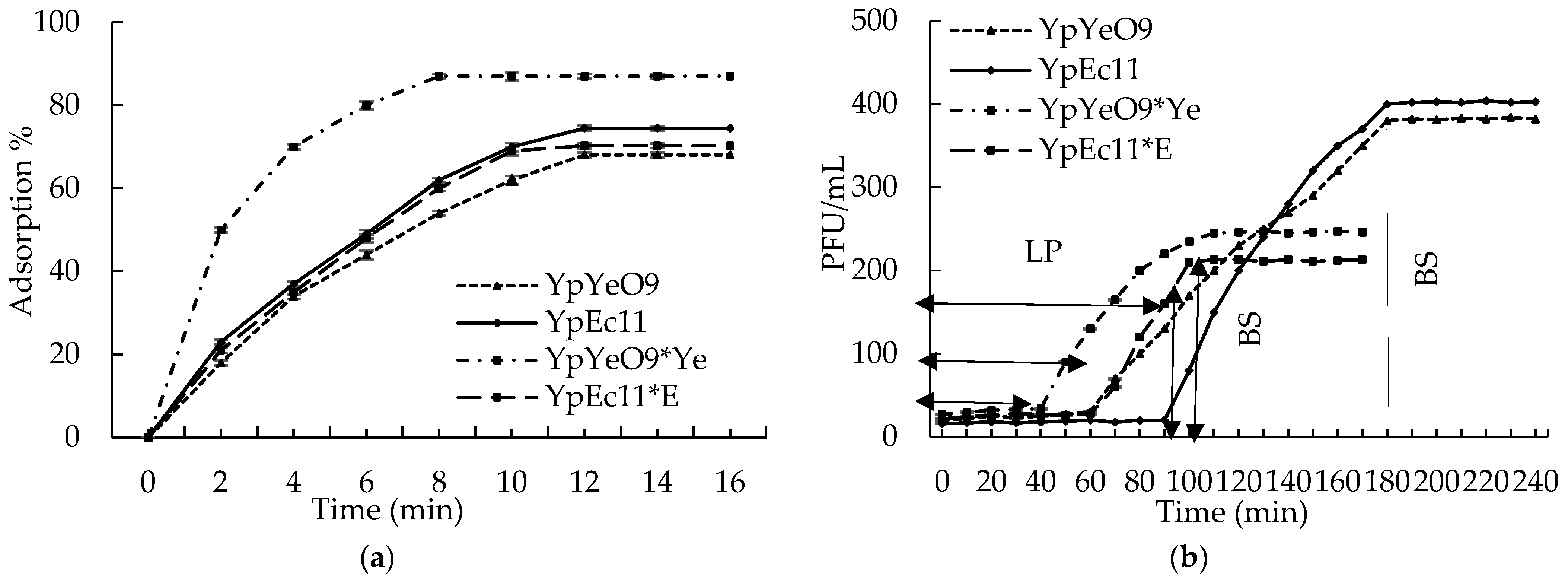 Viruses 15 01484 g008