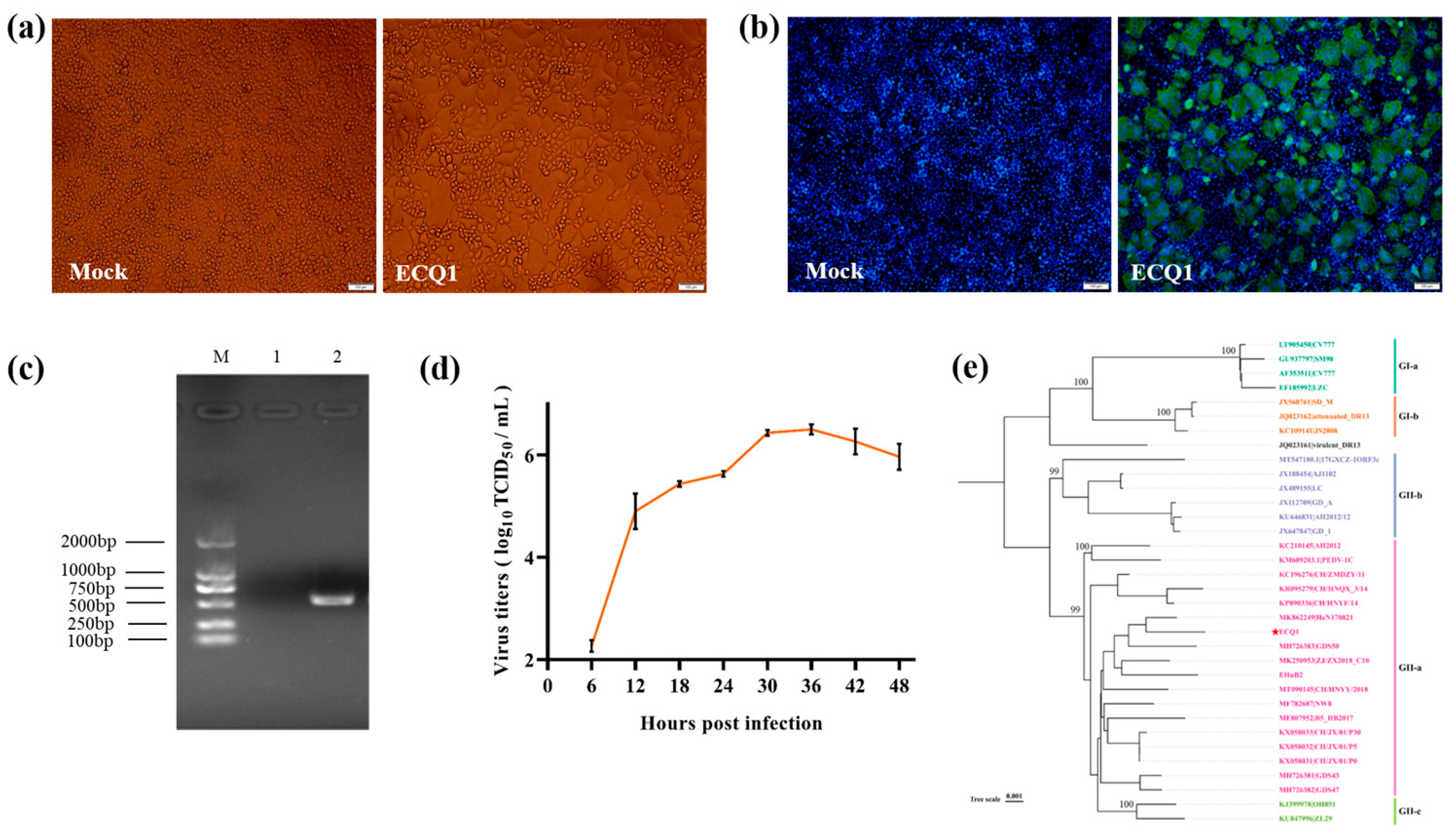 Viruses 15 01492 g003