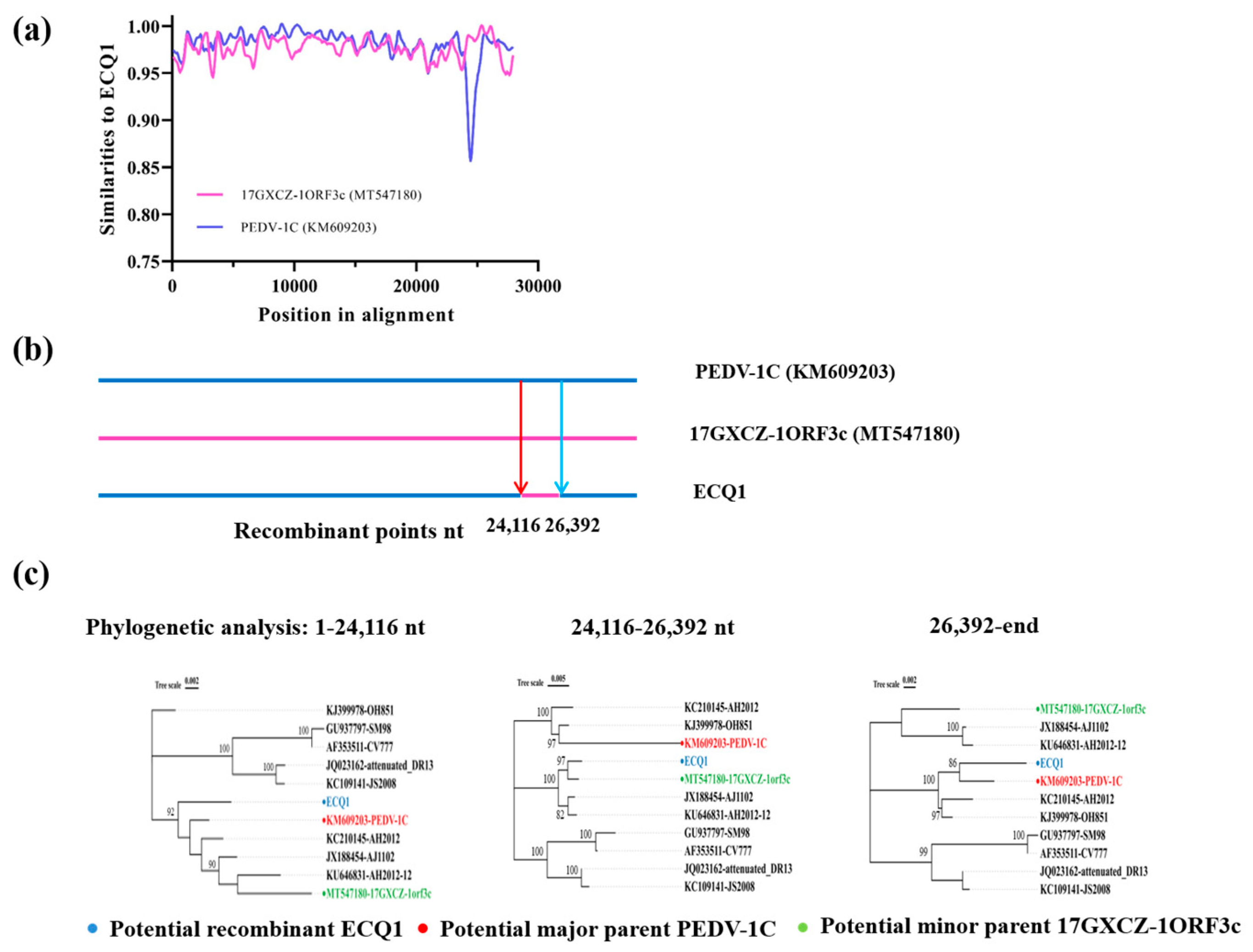 Viruses 15 01492 g004