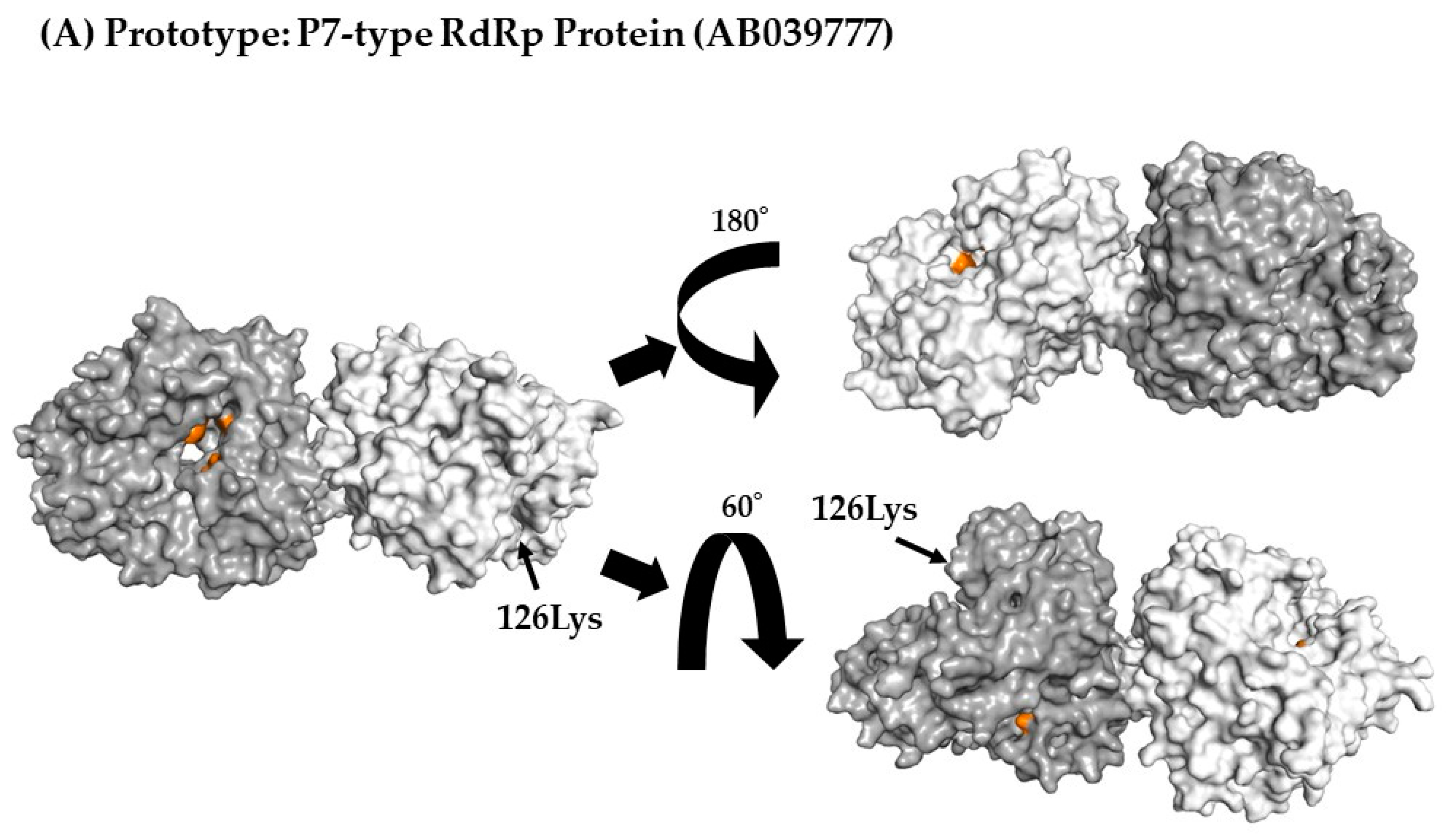 Viruses 15 01497 g004a Viruses 15 01497 g004a