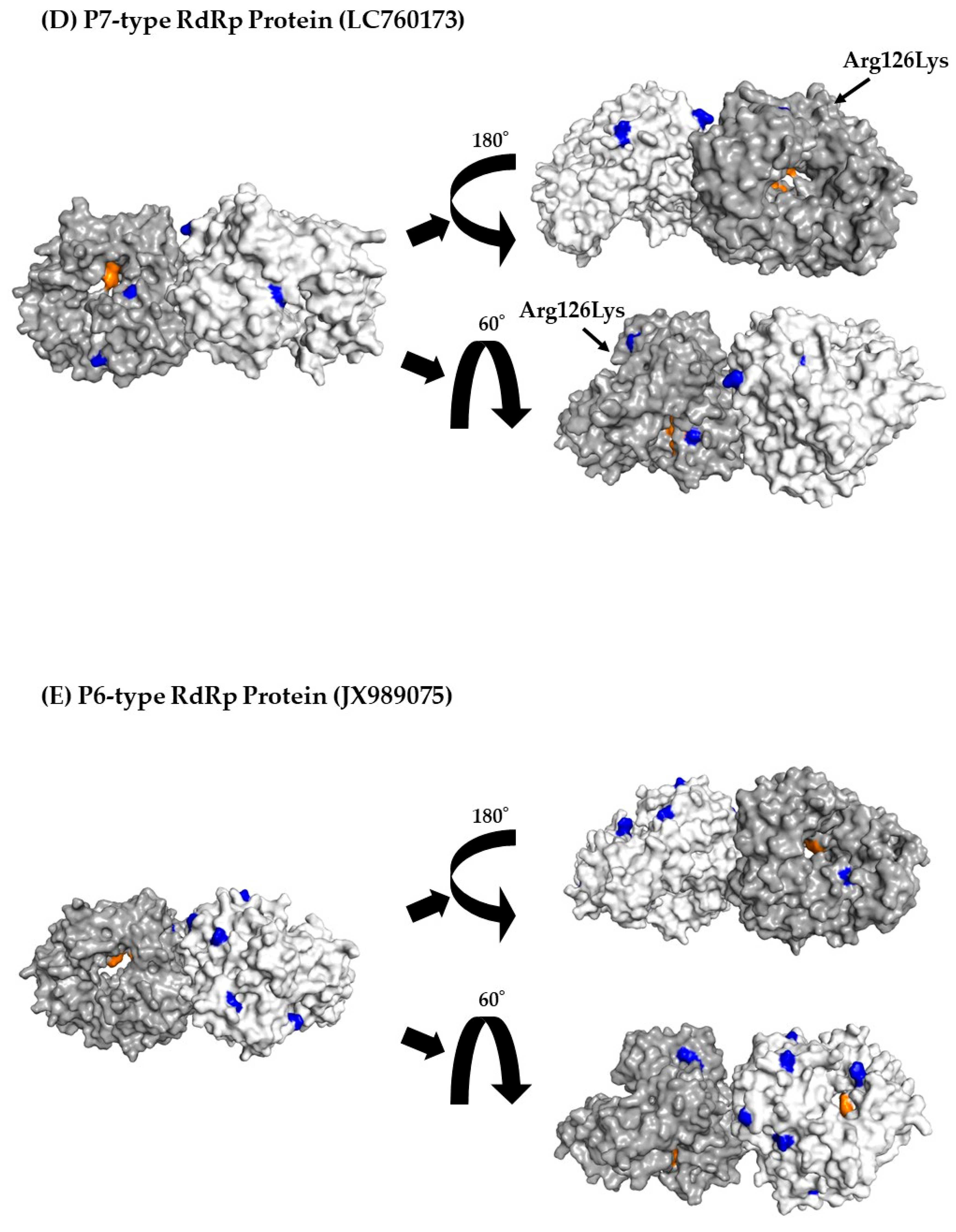 Viruses 15 01497 g004c Viruses 15 01497 g004c
