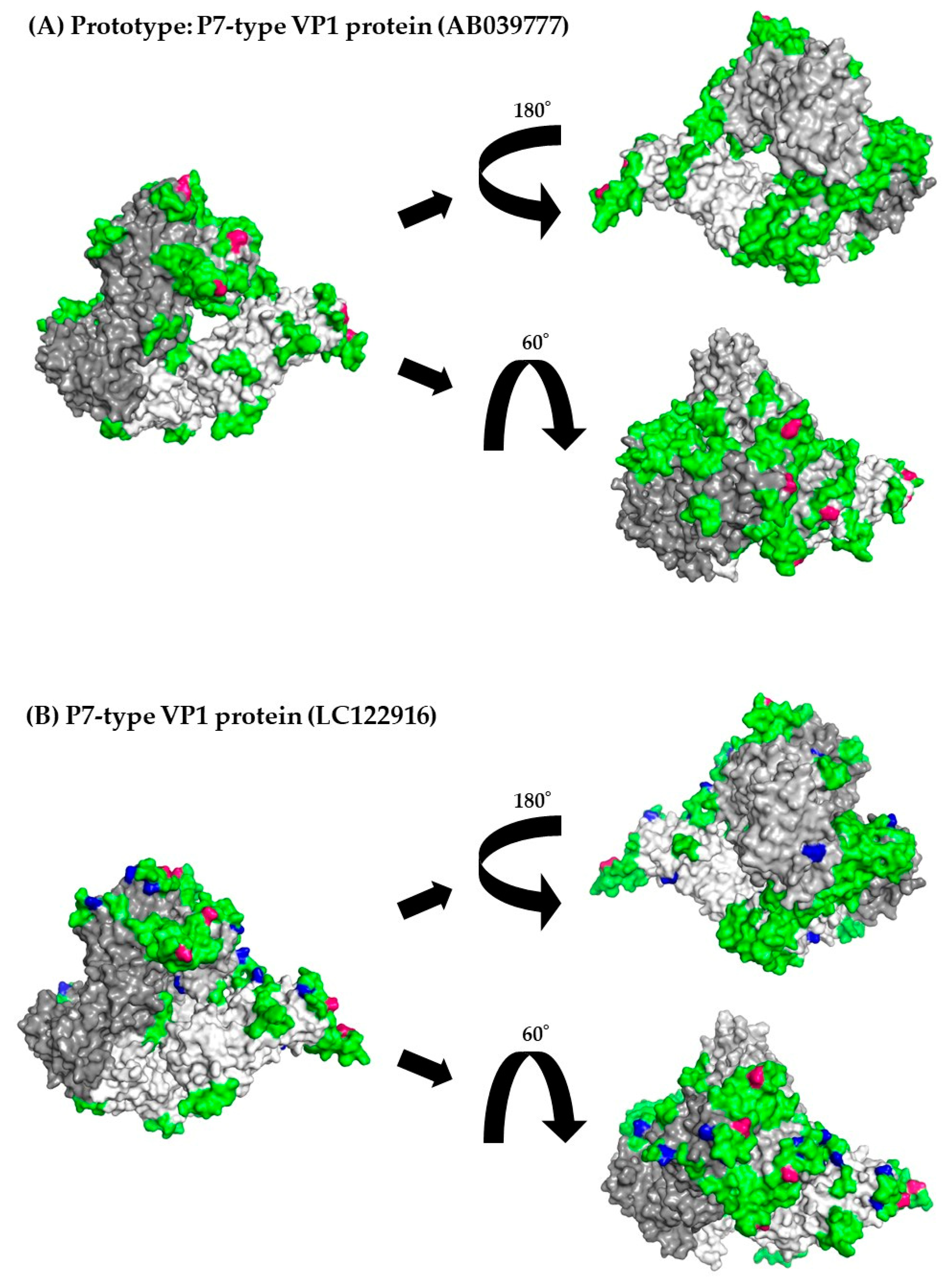 Viruses 15 01497 g005a Viruses 15 01497 g005a