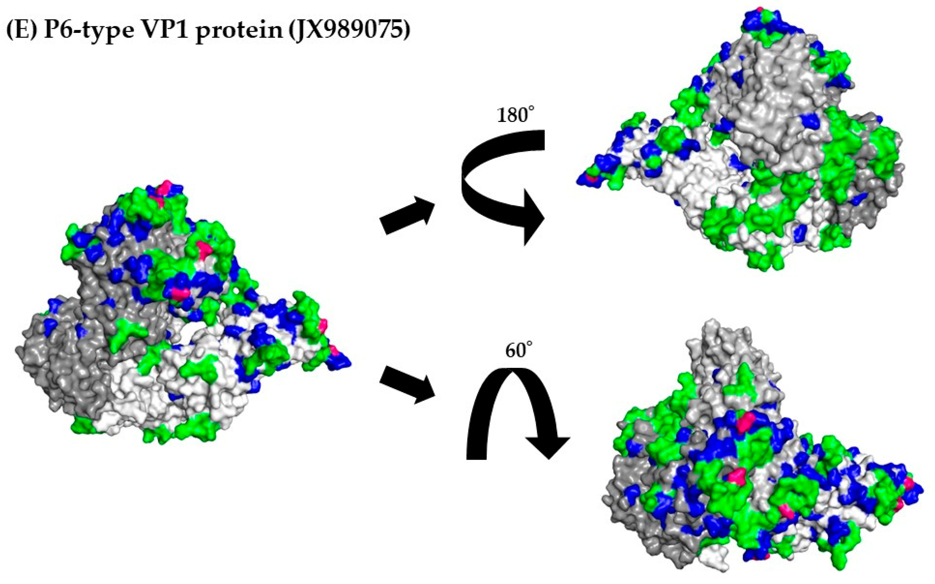 Viruses 15 01497 g005c Viruses 15 01497 g005c