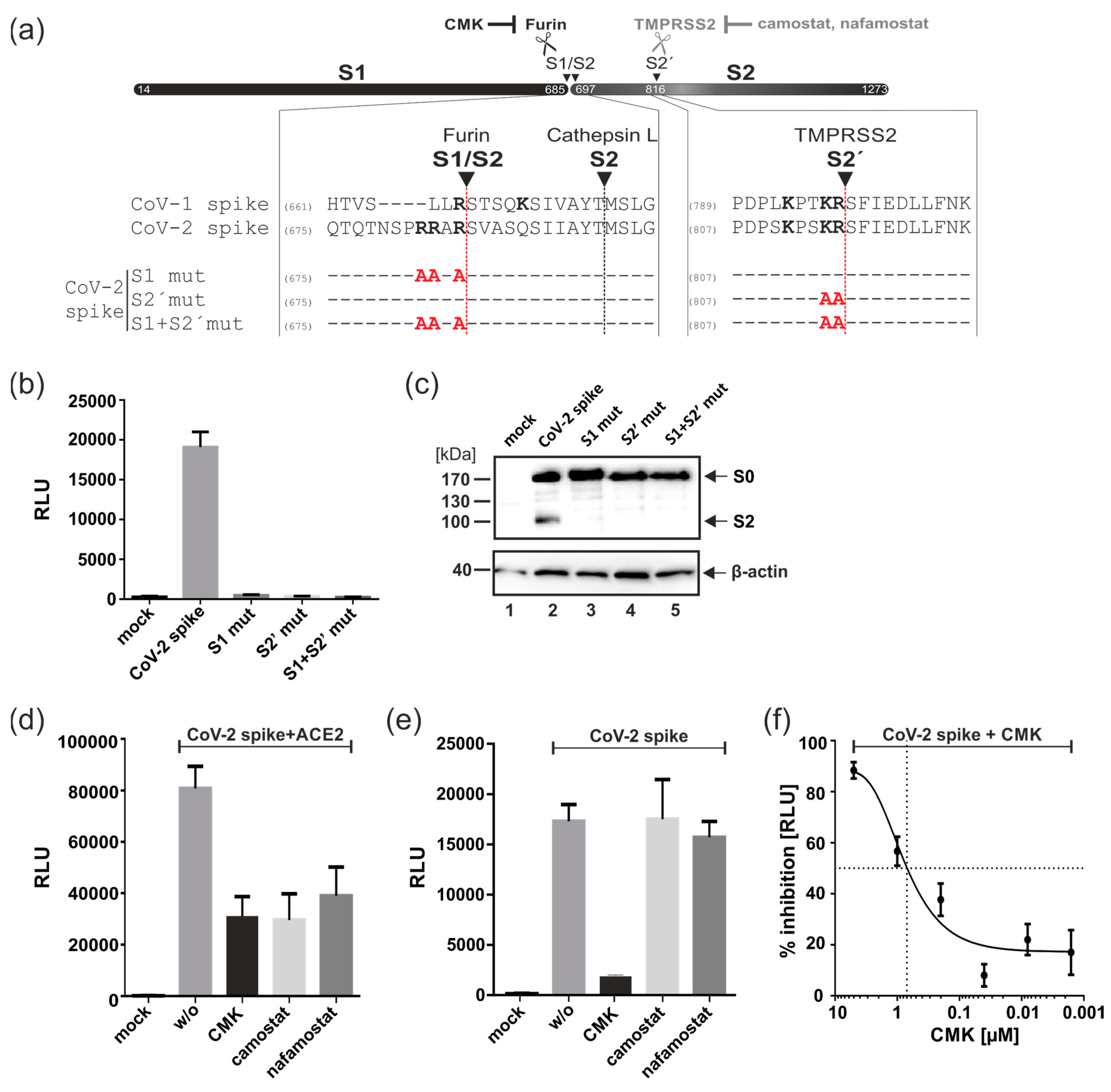 Viruses 15 01500 g003