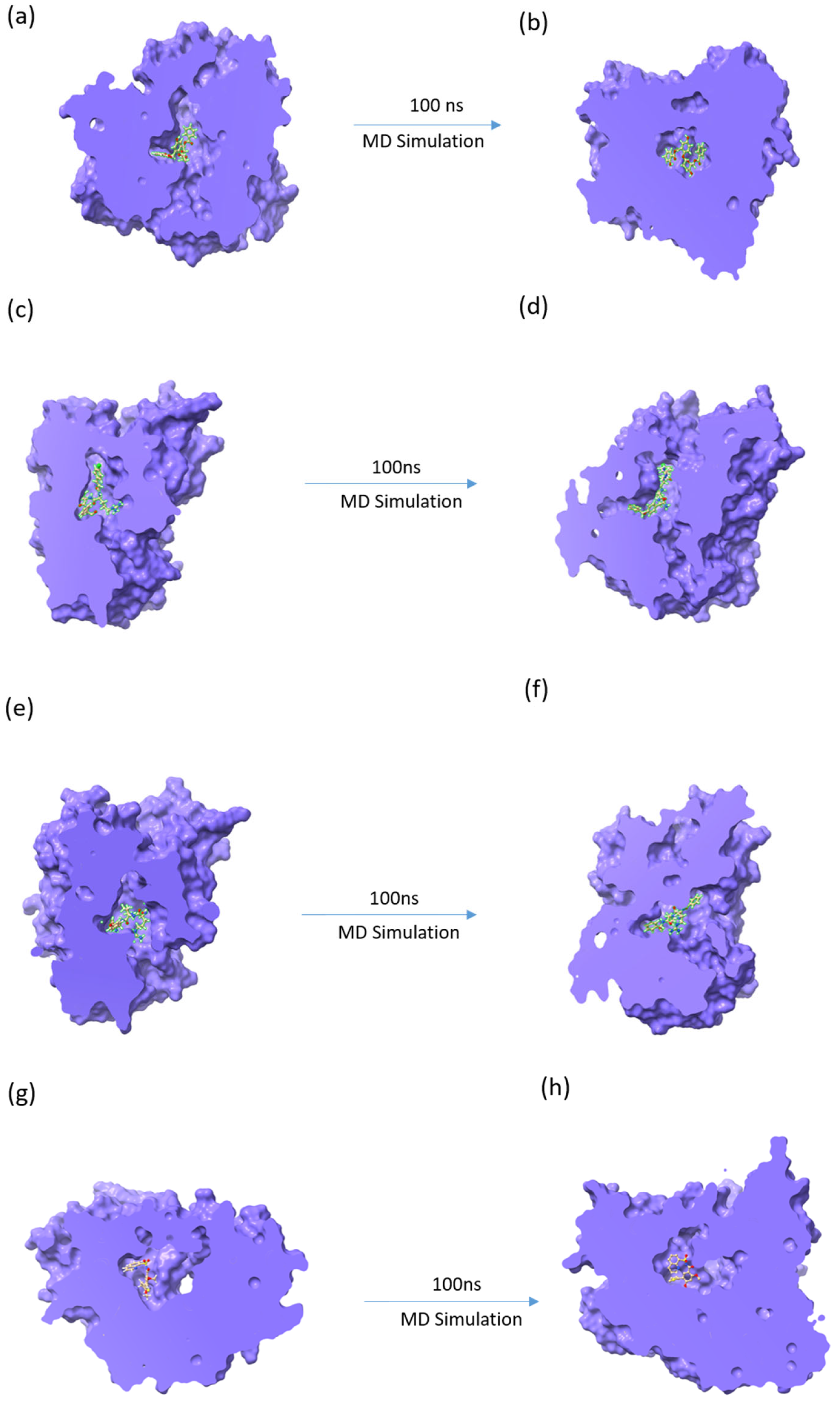 Viruses 15 01501 g003