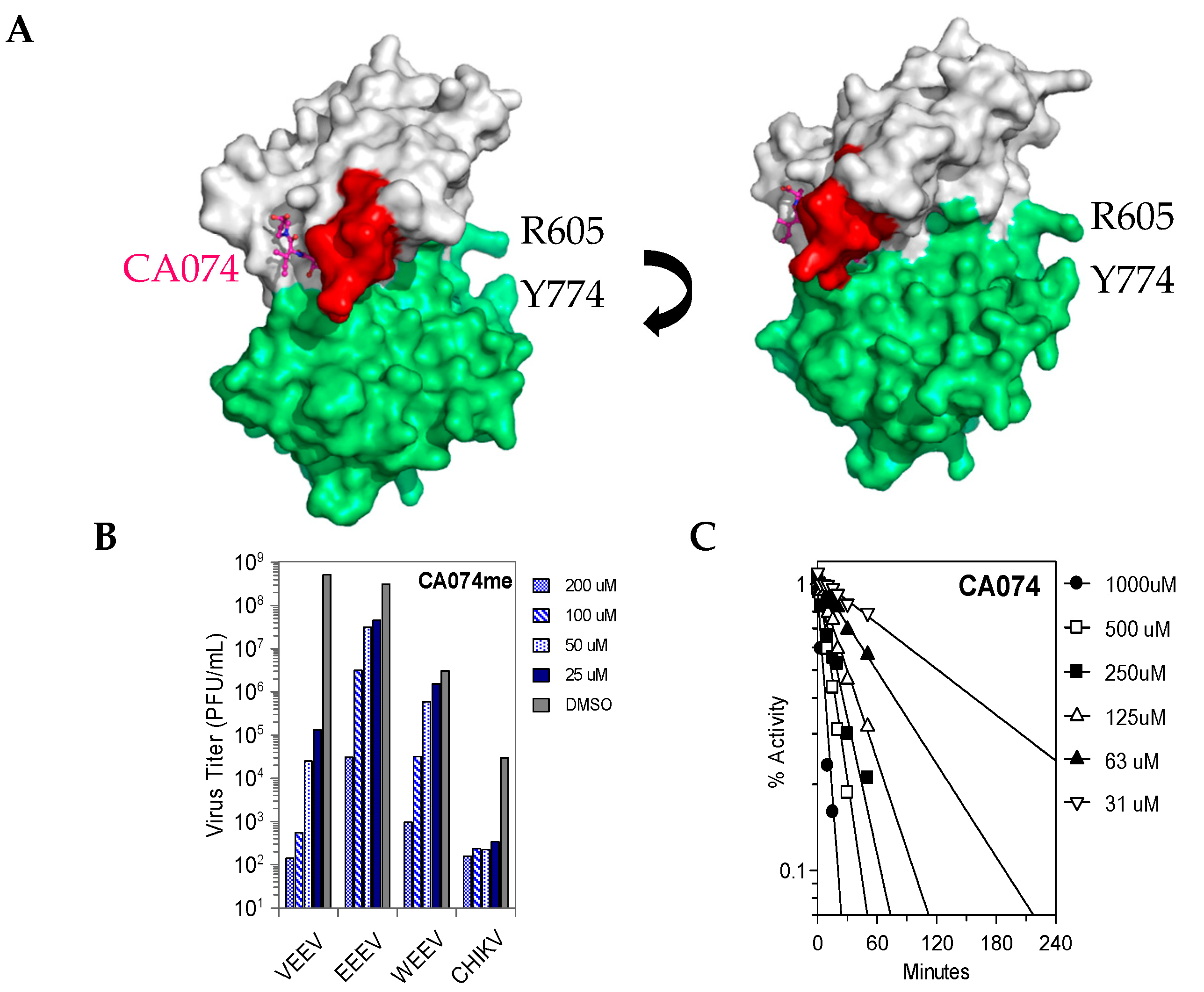 Viruses 15 01503 g004