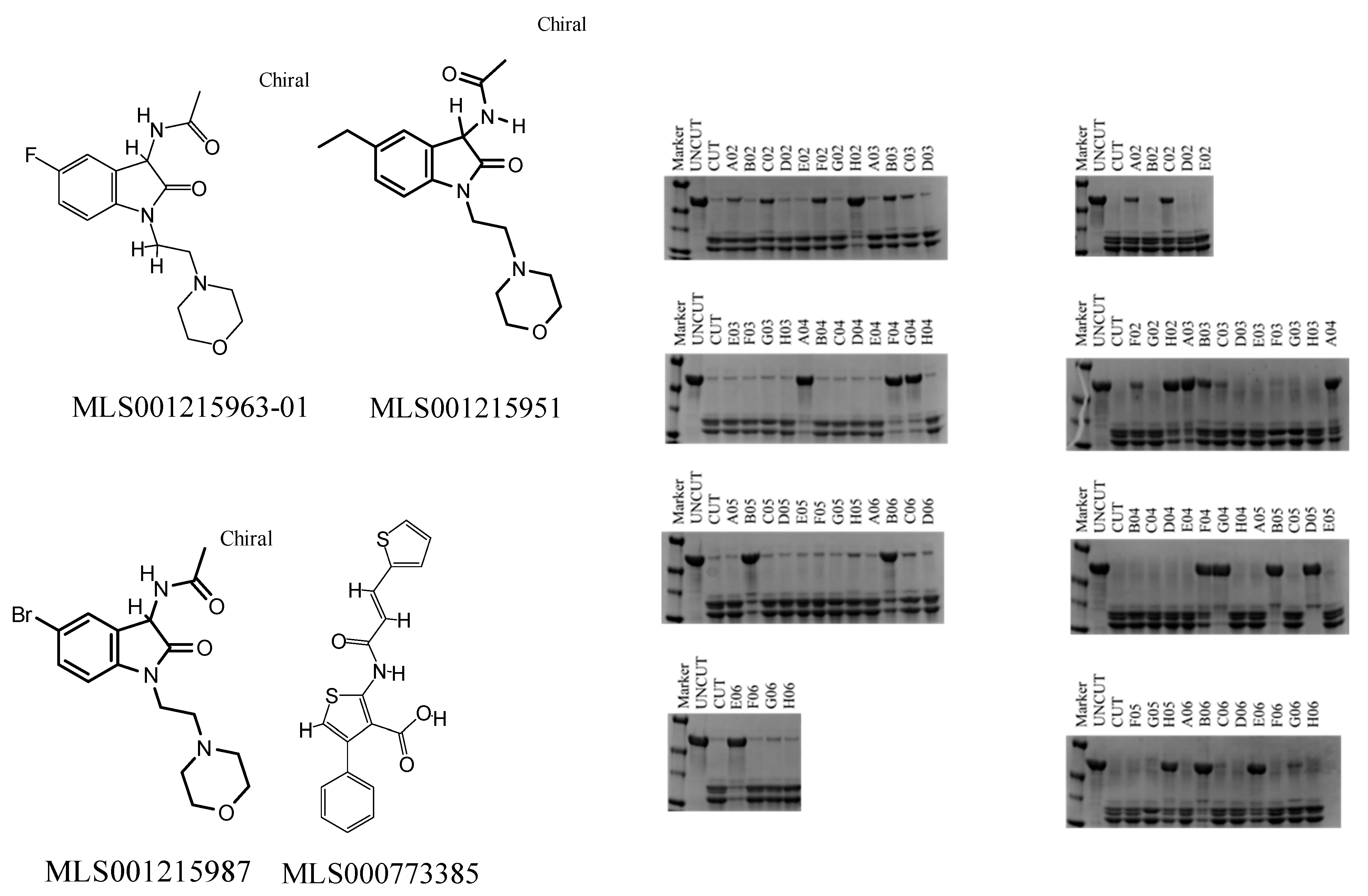 Viruses 15 01503 g0a2