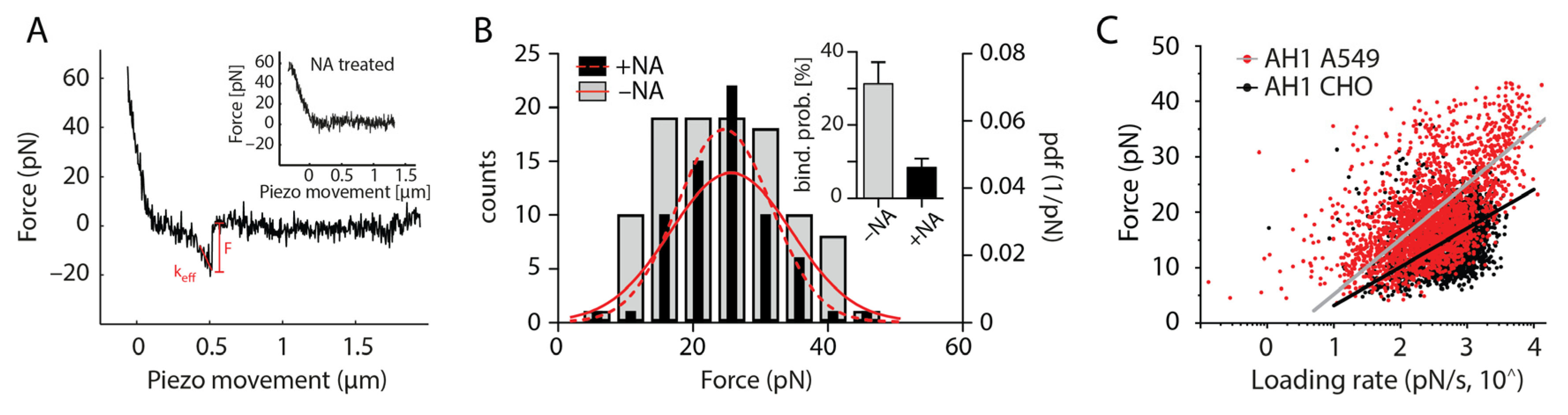 Viruses 15 01507 g003 Viruses 15 01507 g003