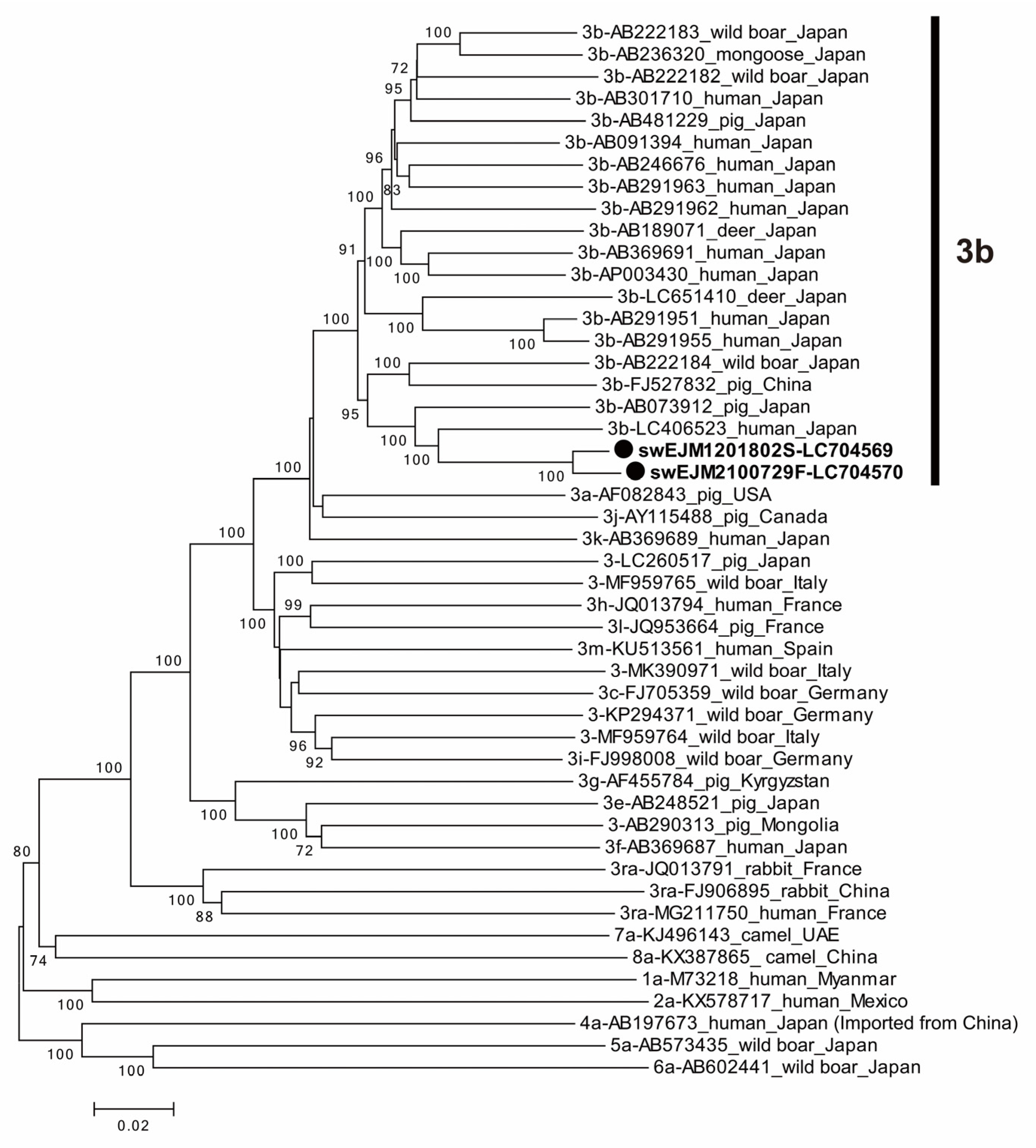 Viruses 15 01516 g004 Viruses 15 01516 g004