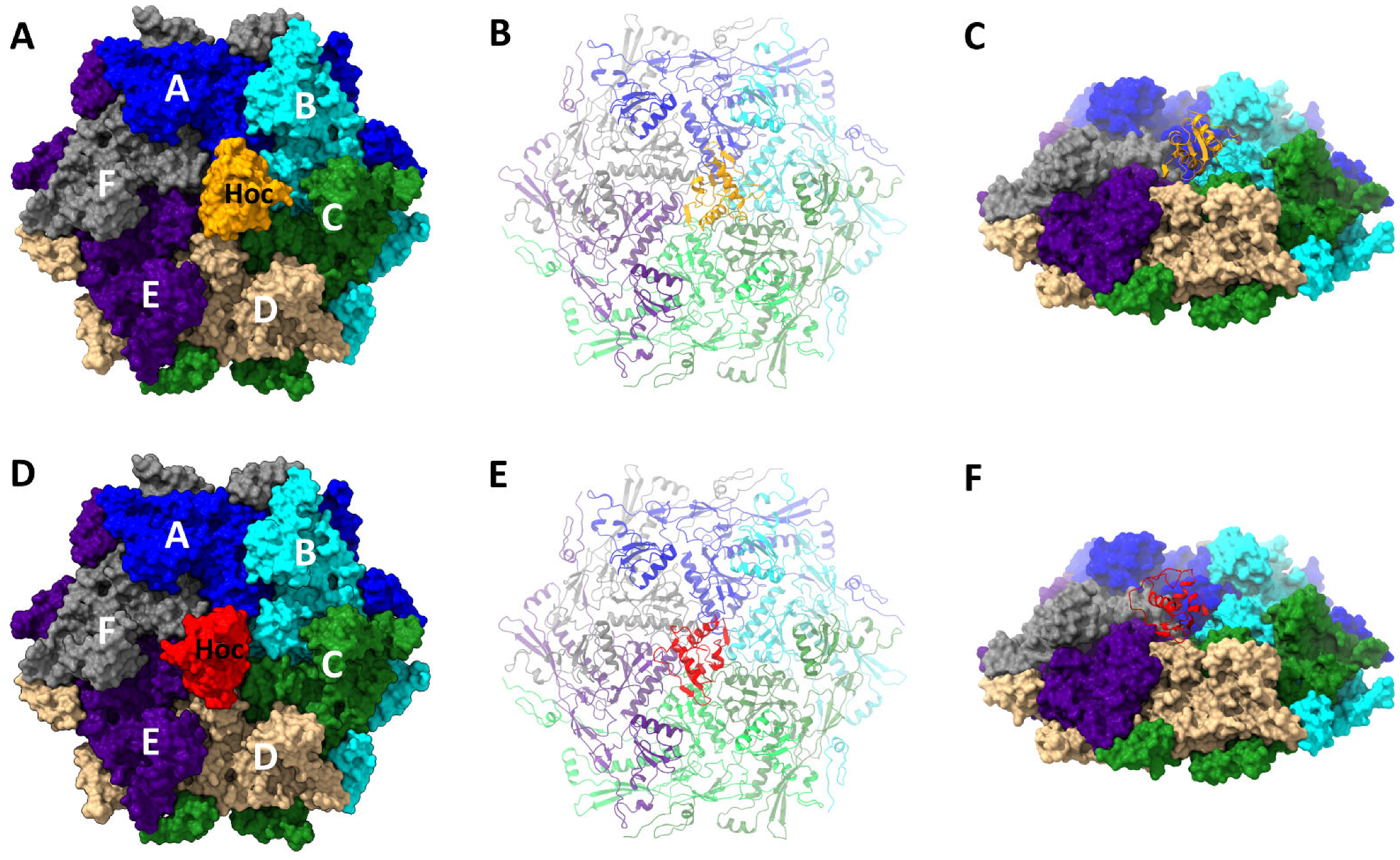Viruses 15 01517 g005 Viruses 15 01517 g005