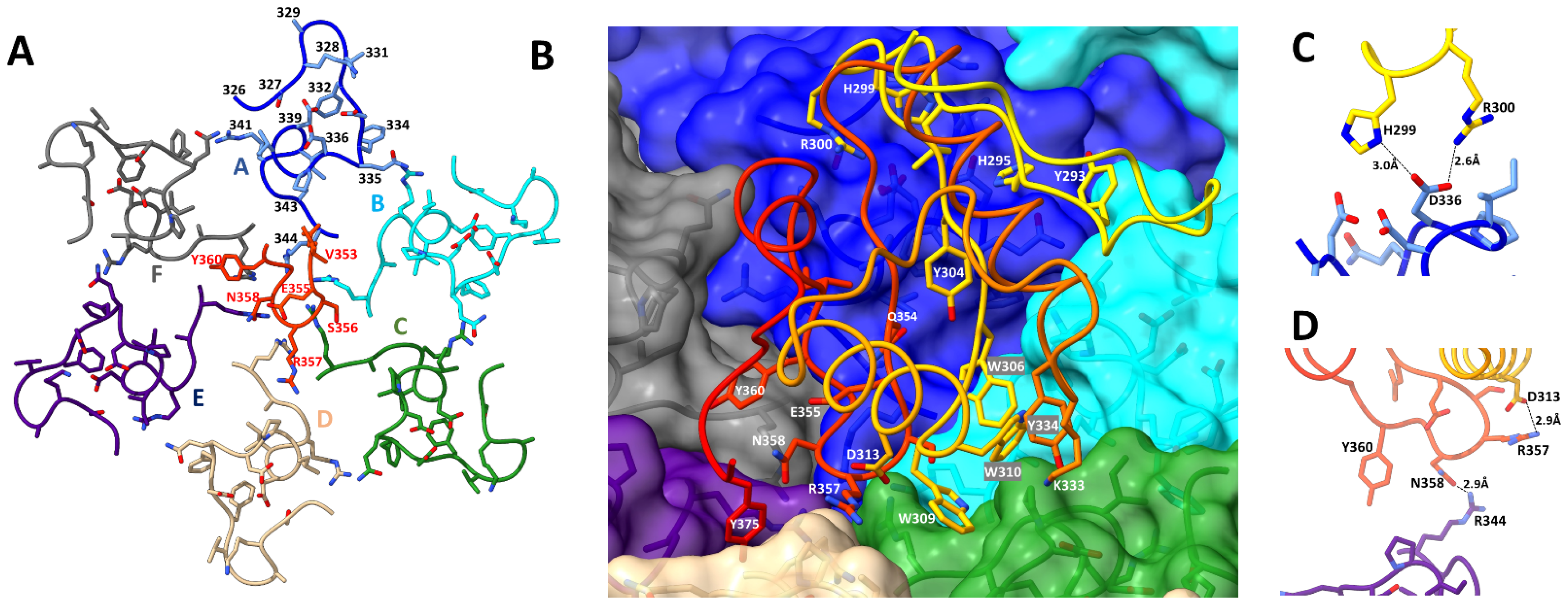 Viruses 15 01517 g006 Viruses 15 01517 g006