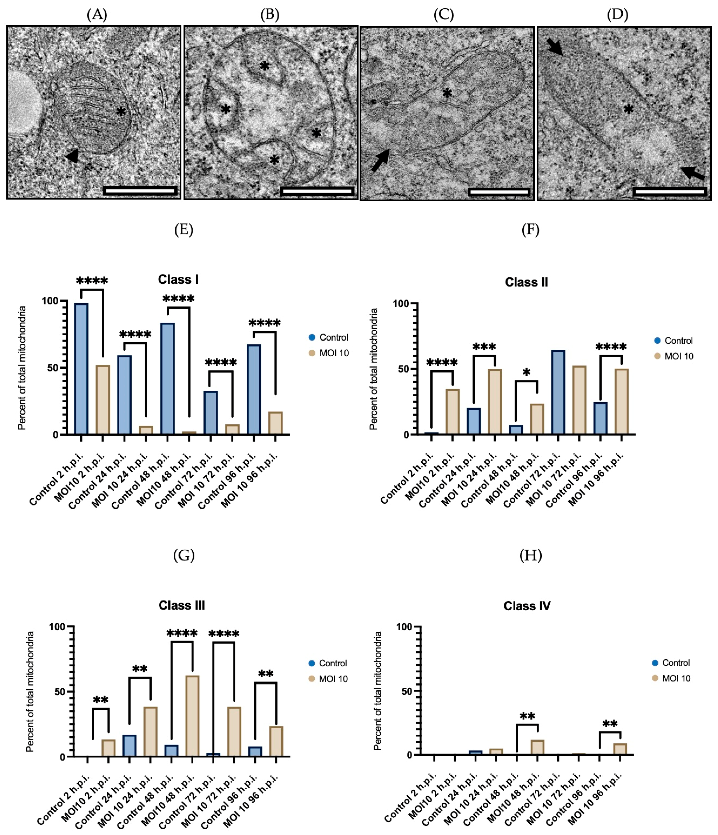 Viruses 15 01518 g002 Viruses 15 01518 g002