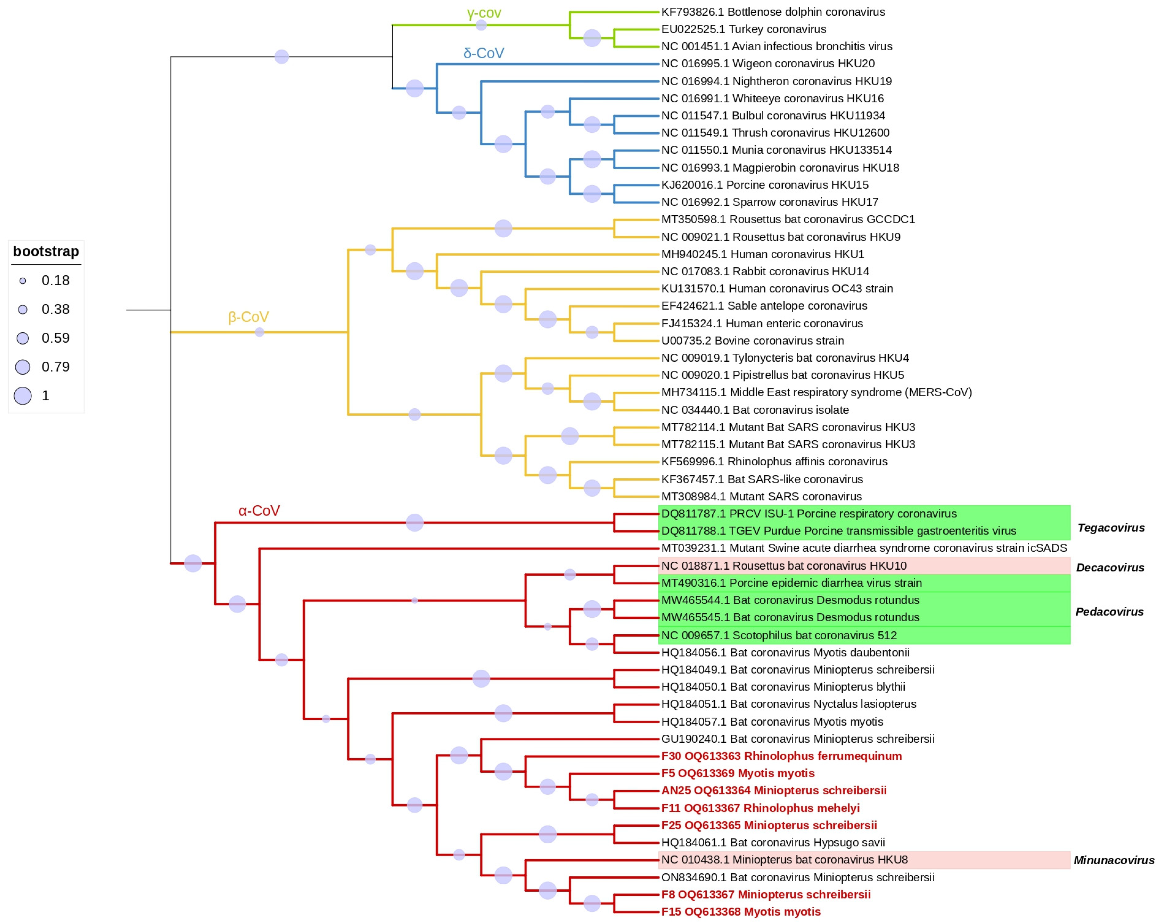 Viruses 15 01521 g002 Viruses 15 01521 g002