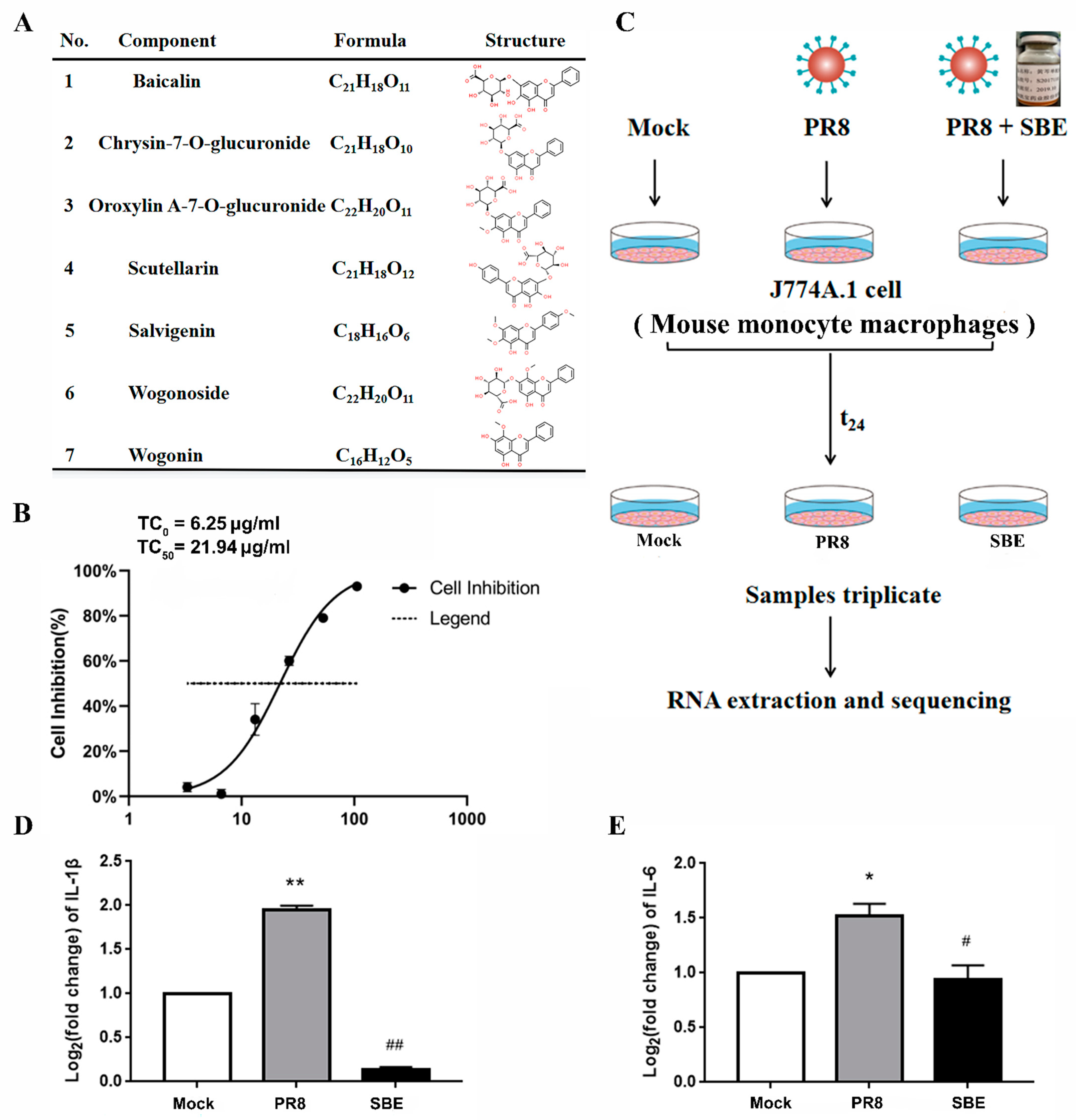 Viruses 15 01524 g001 Viruses 15 01524 g001