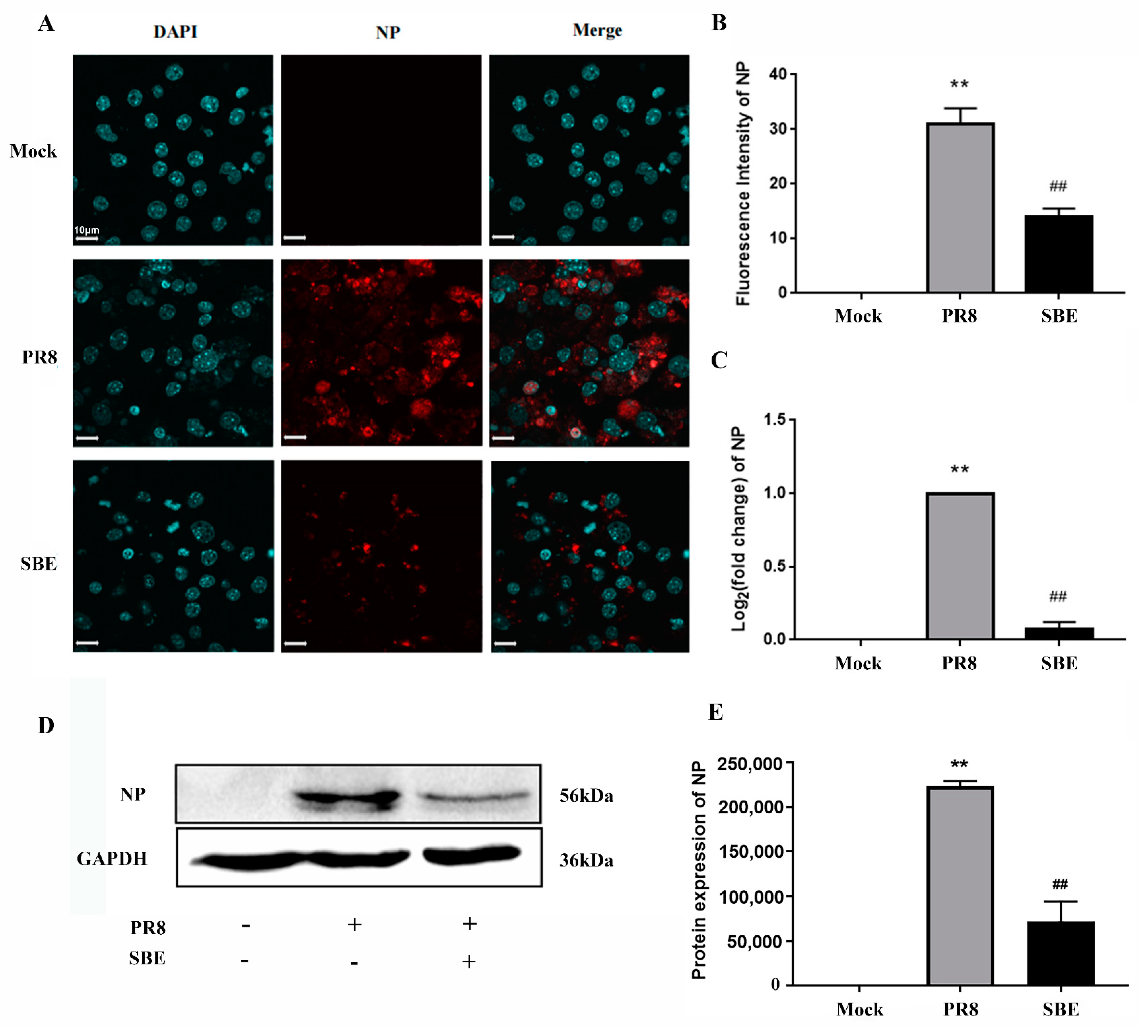 Viruses 15 01524 g002 Viruses 15 01524 g002