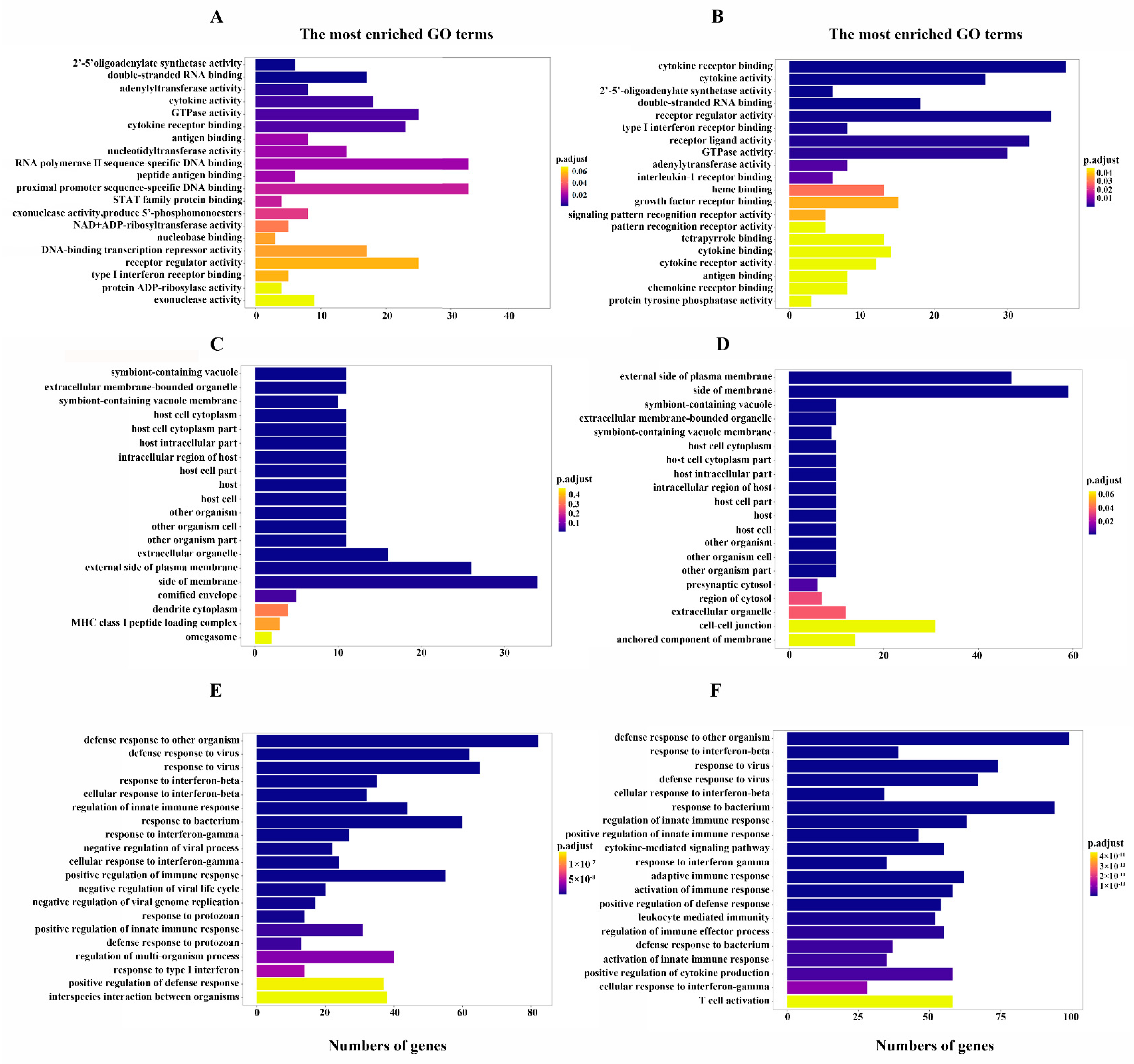 Viruses 15 01524 g004 Viruses 15 01524 g004