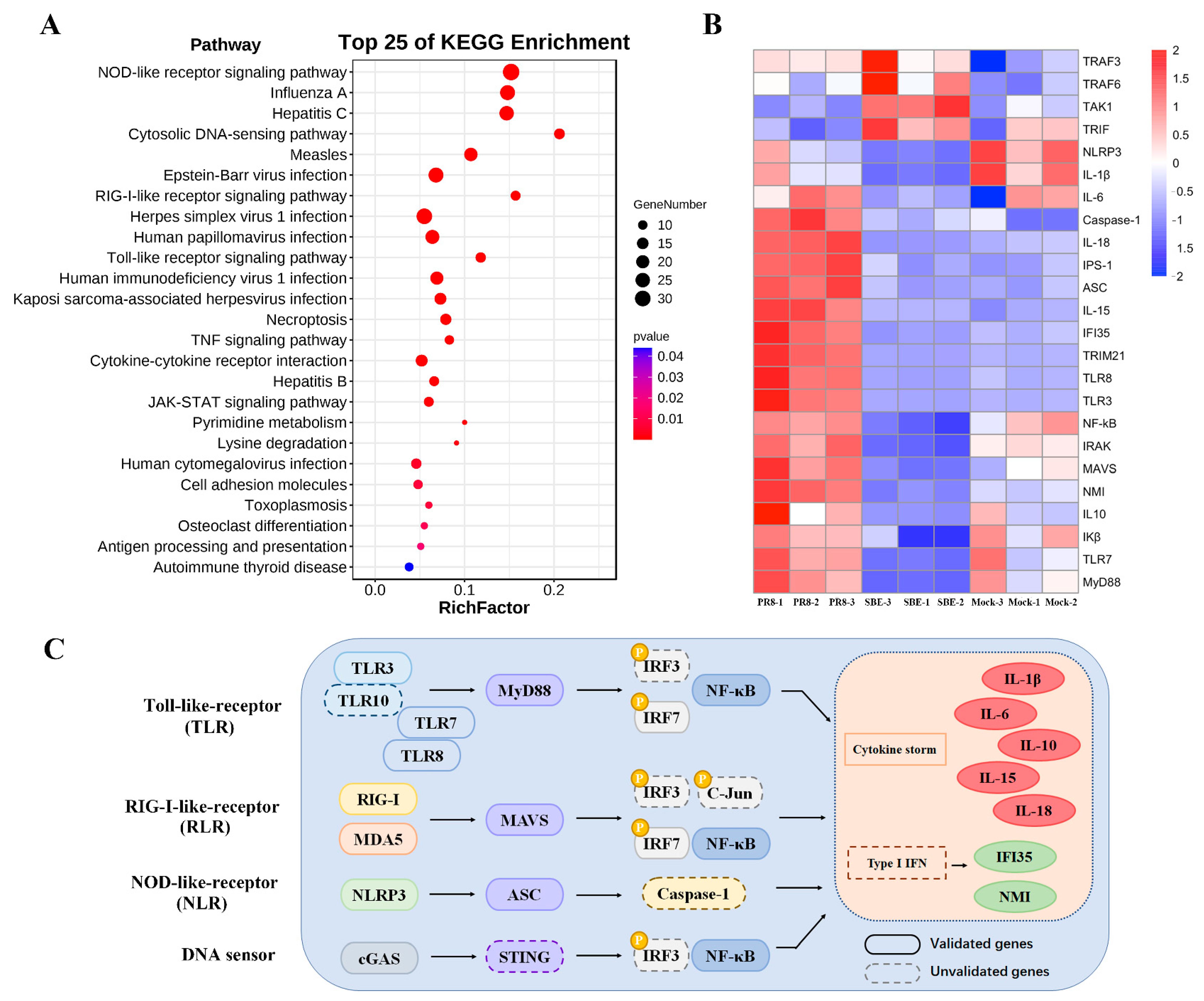 Viruses 15 01524 g005 Viruses 15 01524 g005