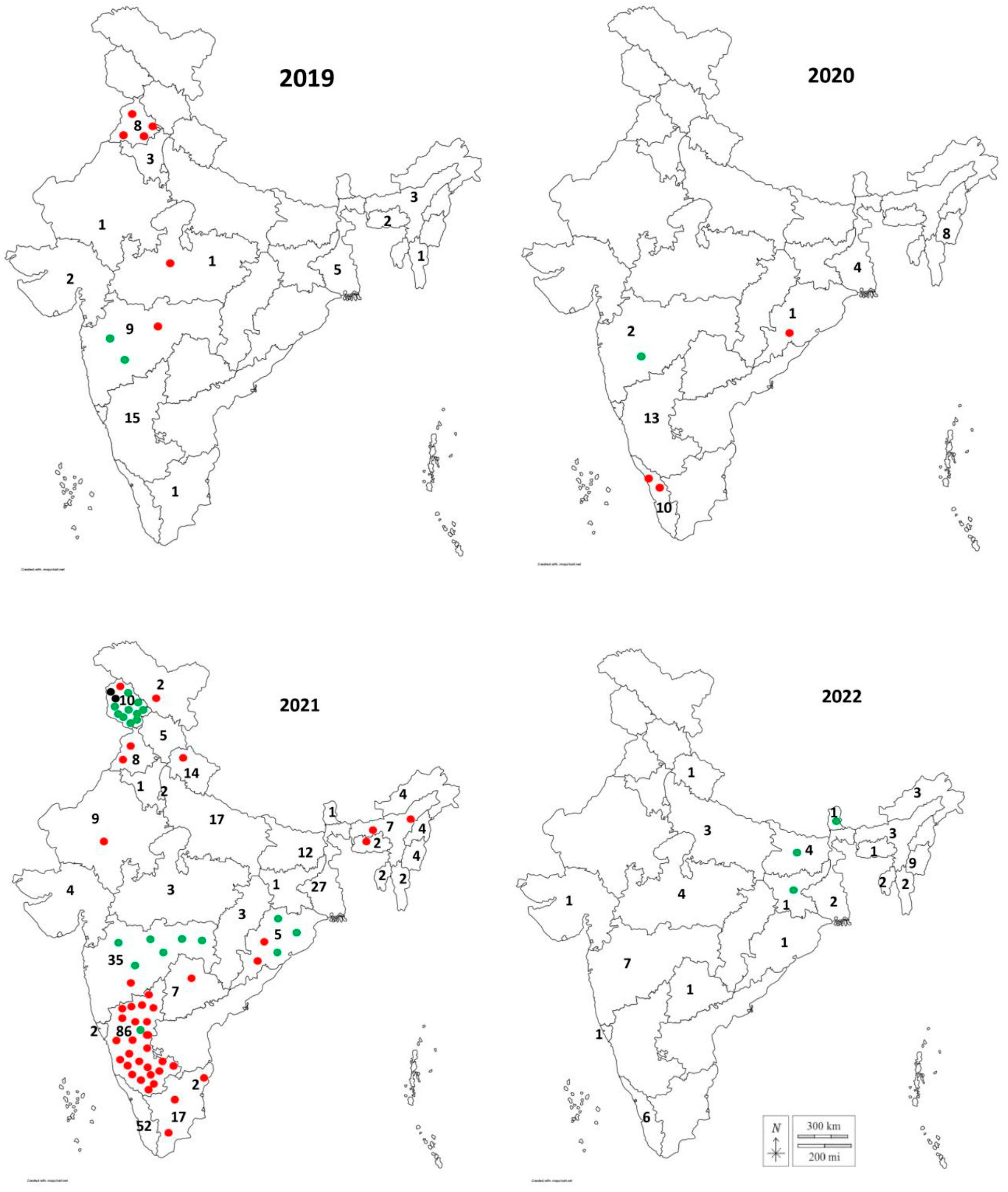 Viruses 15 01529 g003 Viruses 15 01529 g003