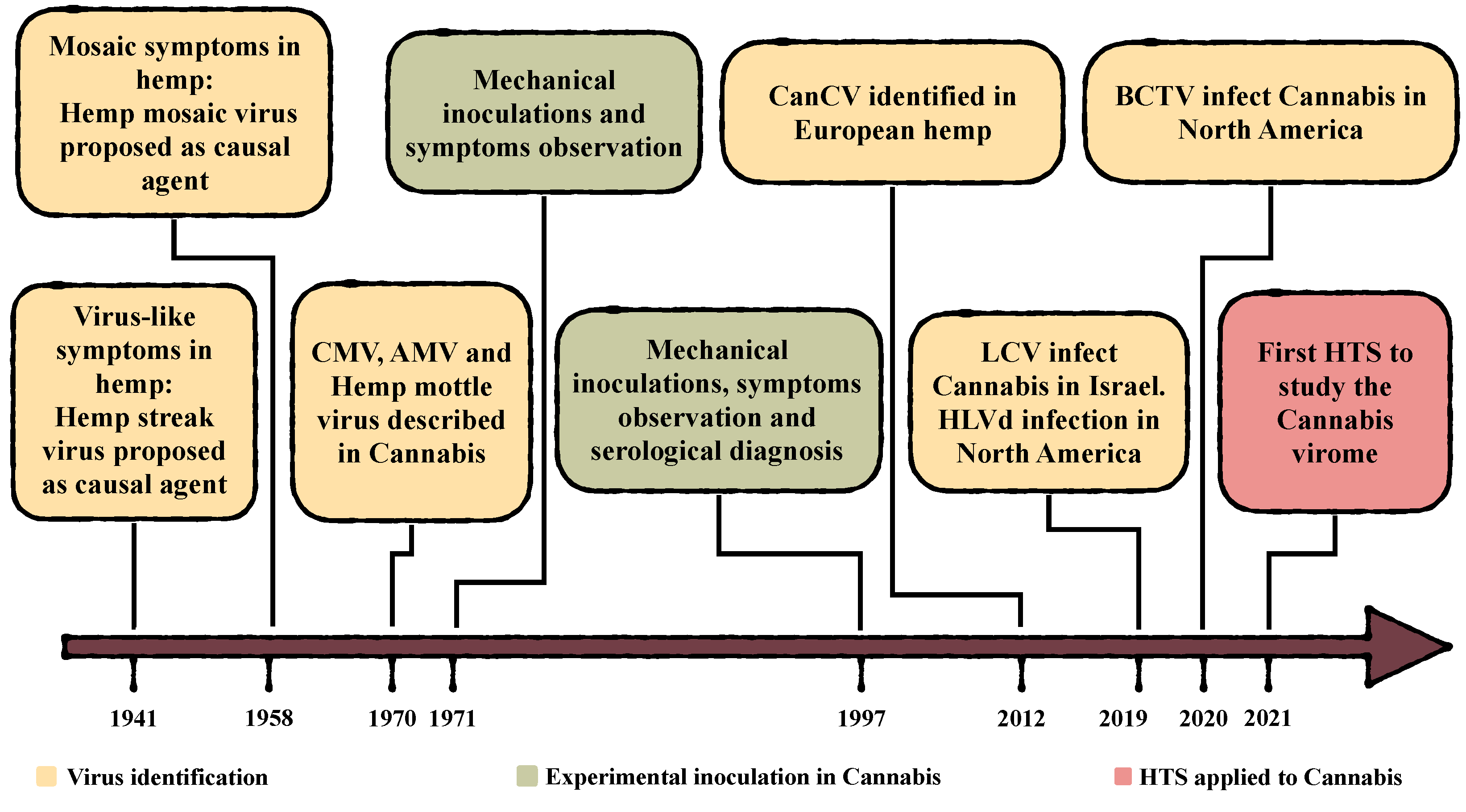 Viruses 15 01532 g001