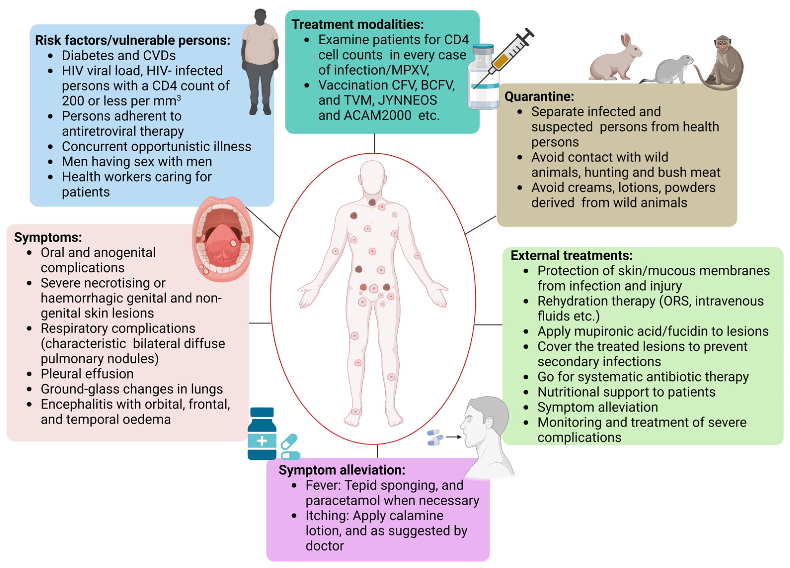 Viruses 15 01533 g004