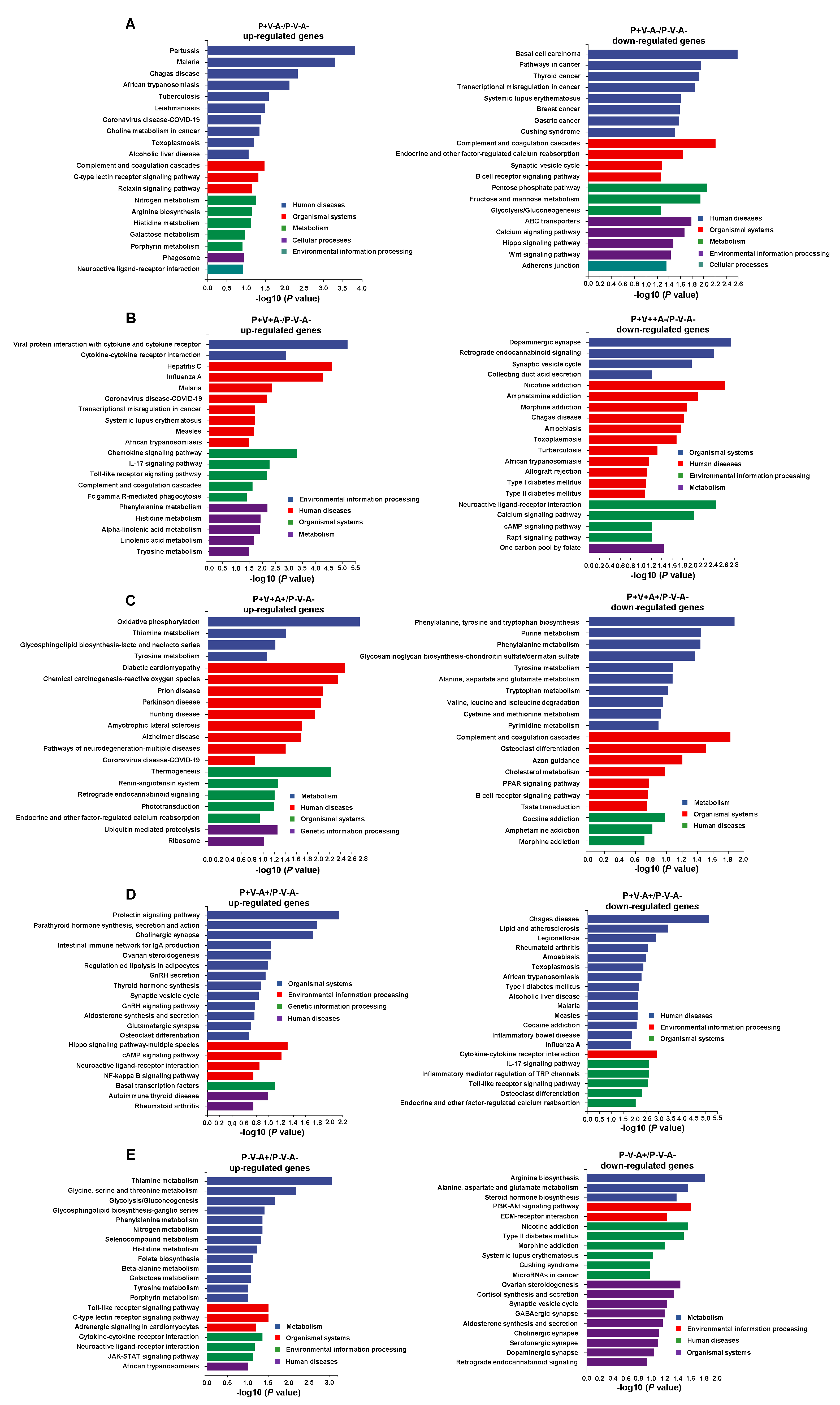 Viruses 15 01538 g005 Viruses 15 01538 g005