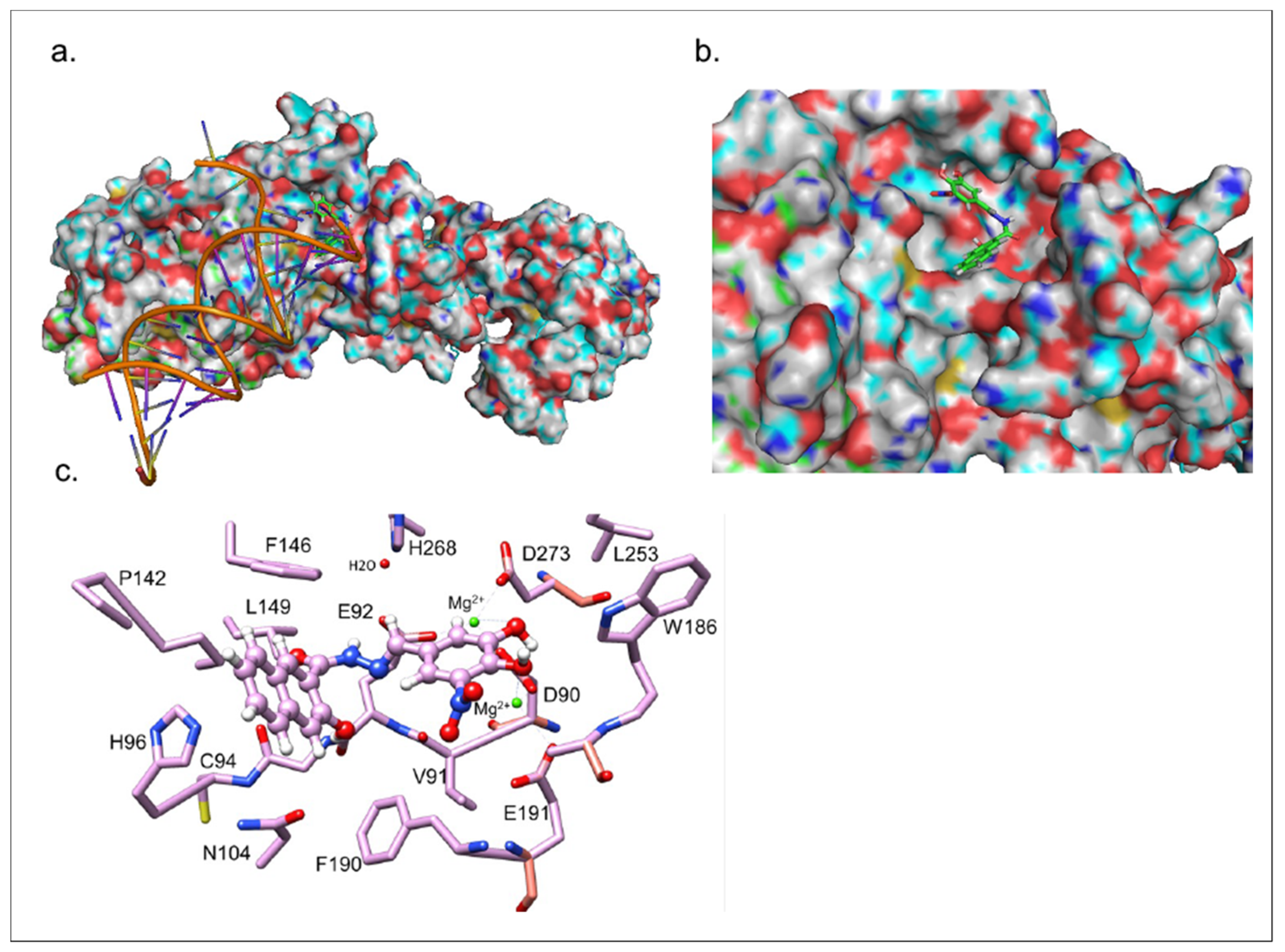 Viruses 15 01539 g003