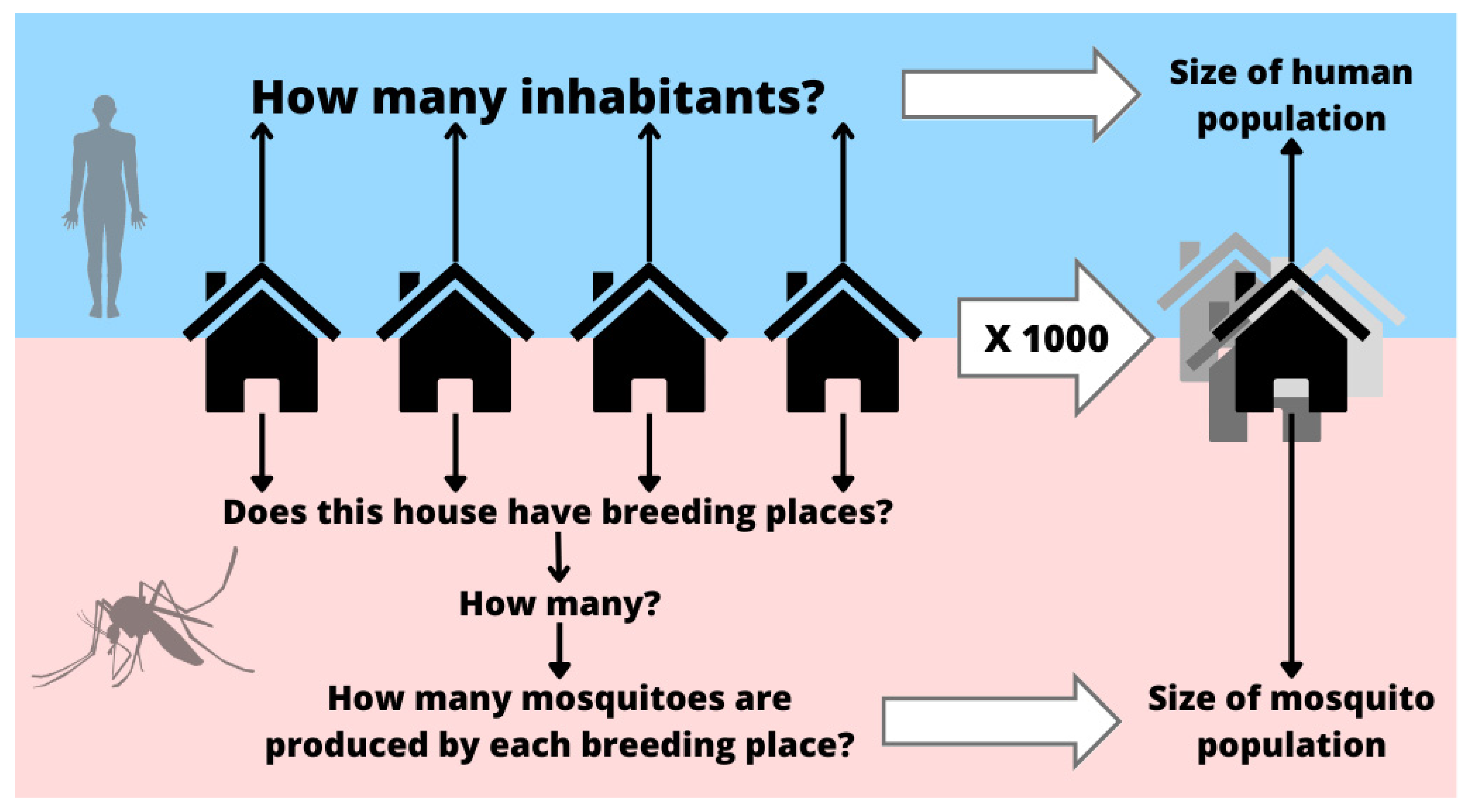 Viruses 15 01550 g002