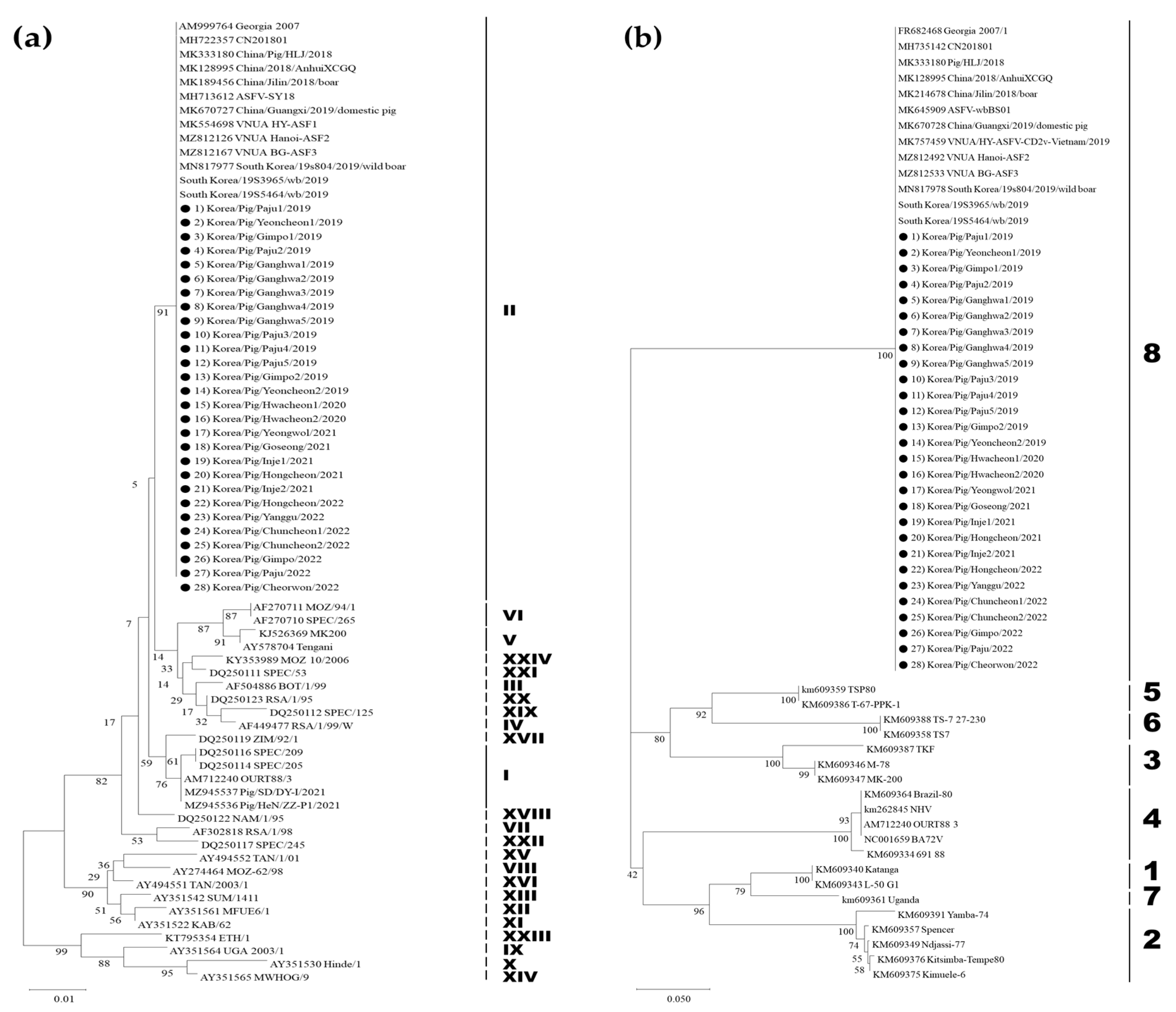 Viruses 15 01552 g001 Viruses 15 01552 g001