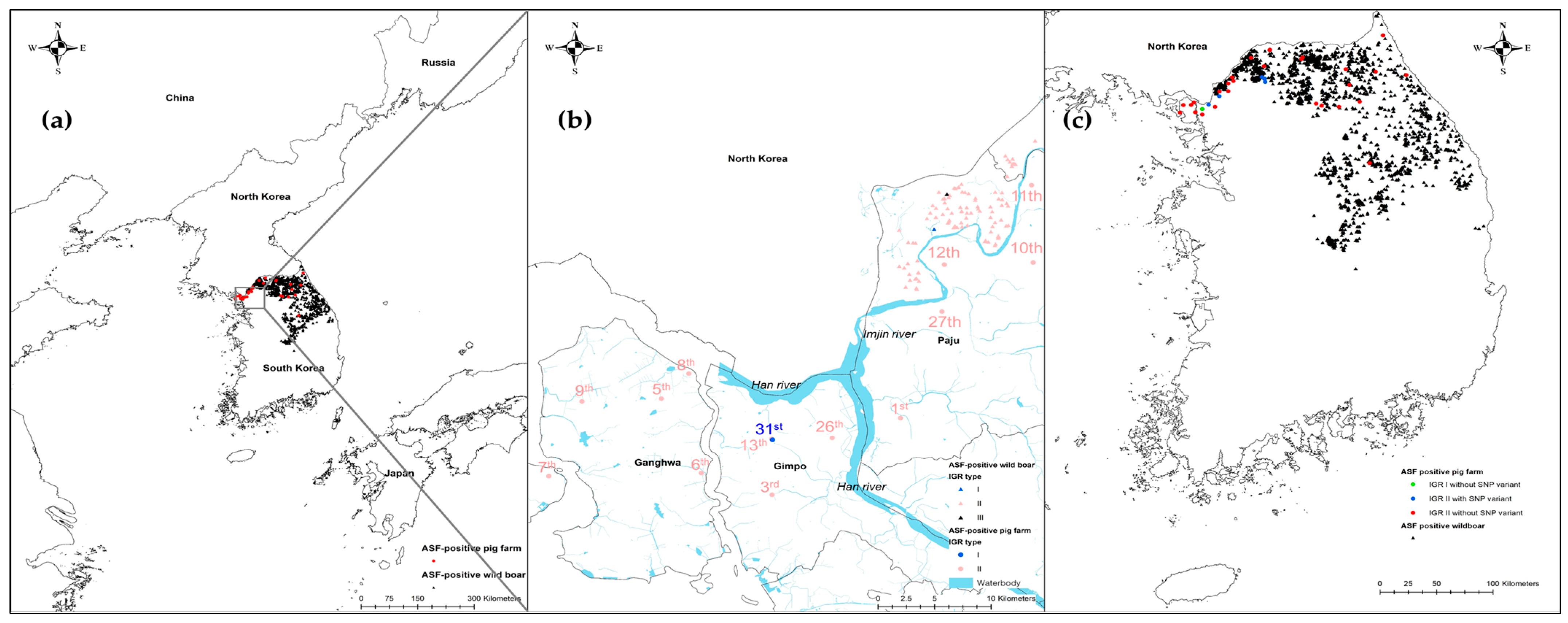 Viruses 15 01552 g002 Viruses 15 01552 g002