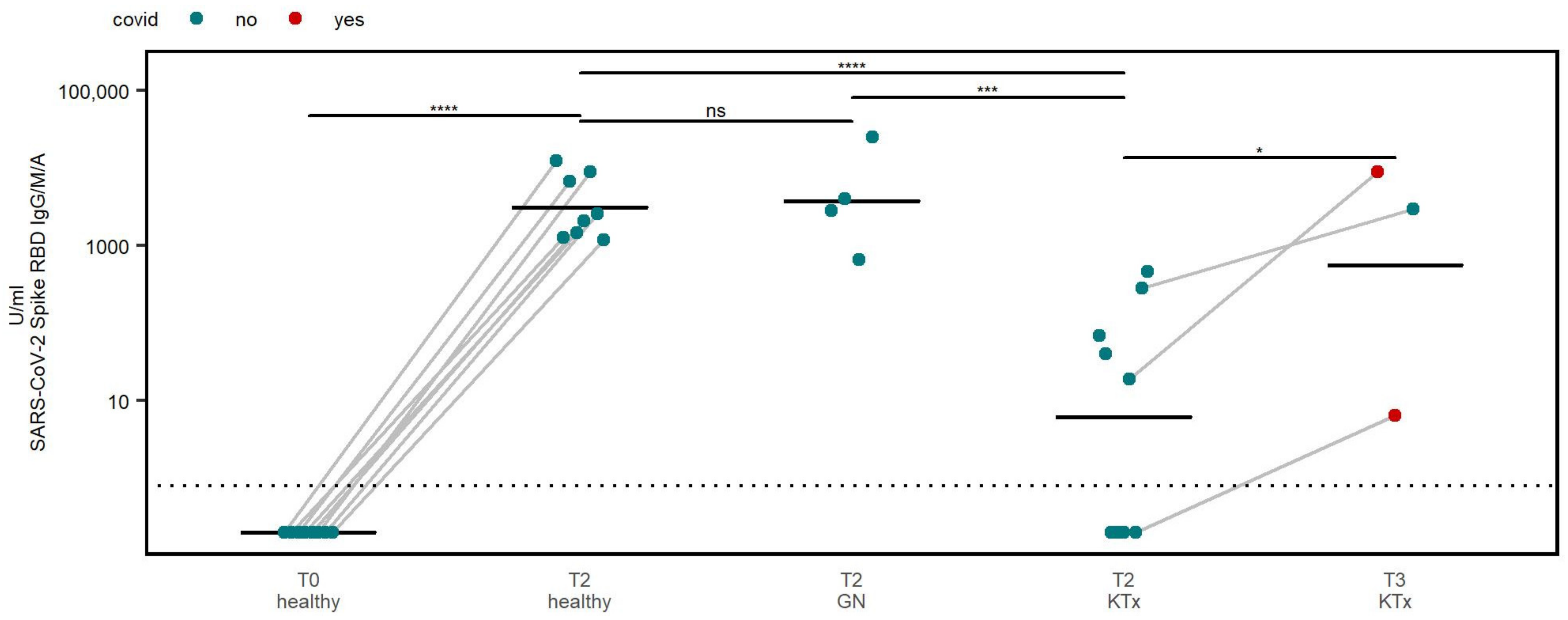 Viruses 15 01553 g001