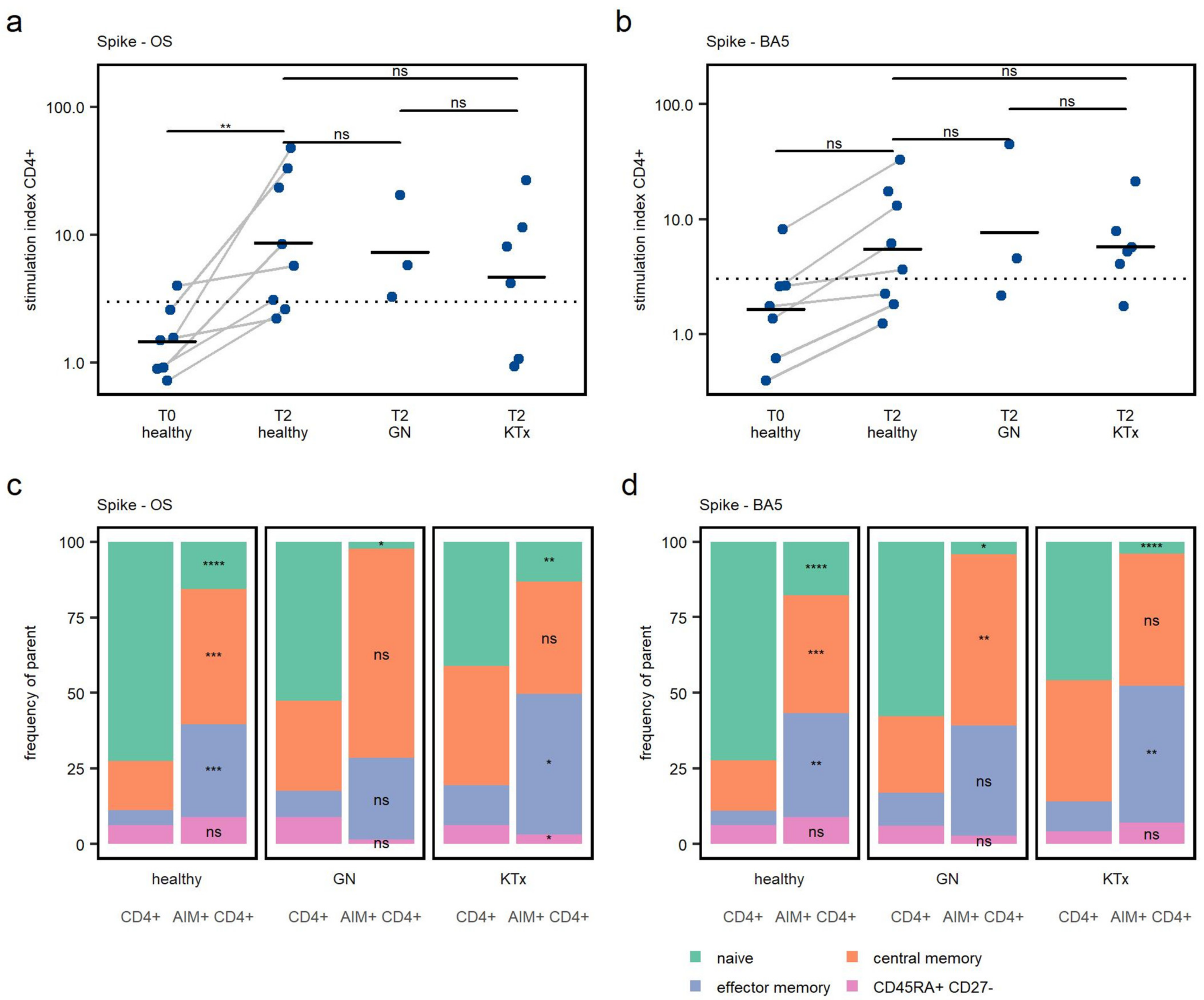 Viruses 15 01553 g003