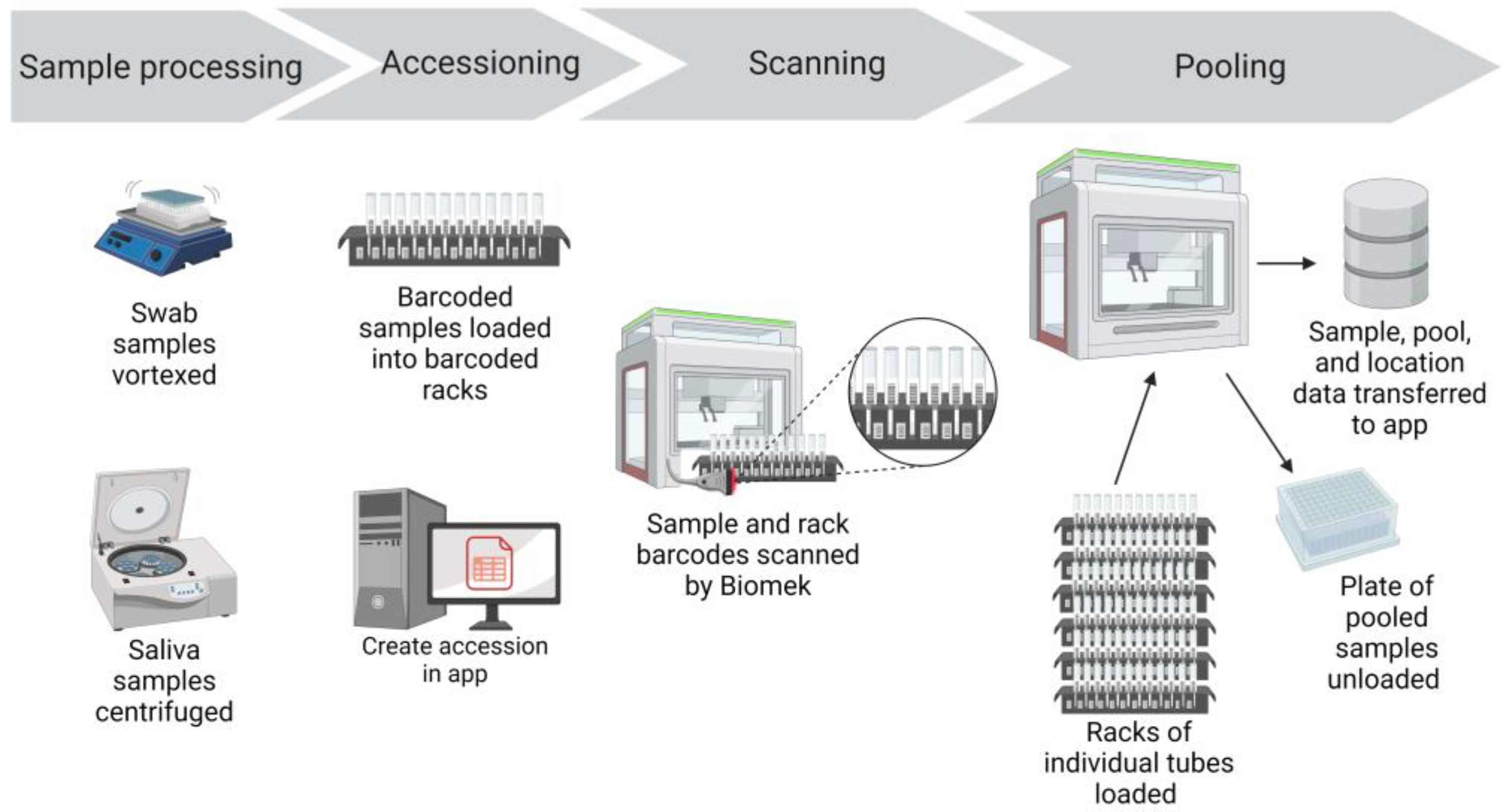 Viruses 15 01555 g002