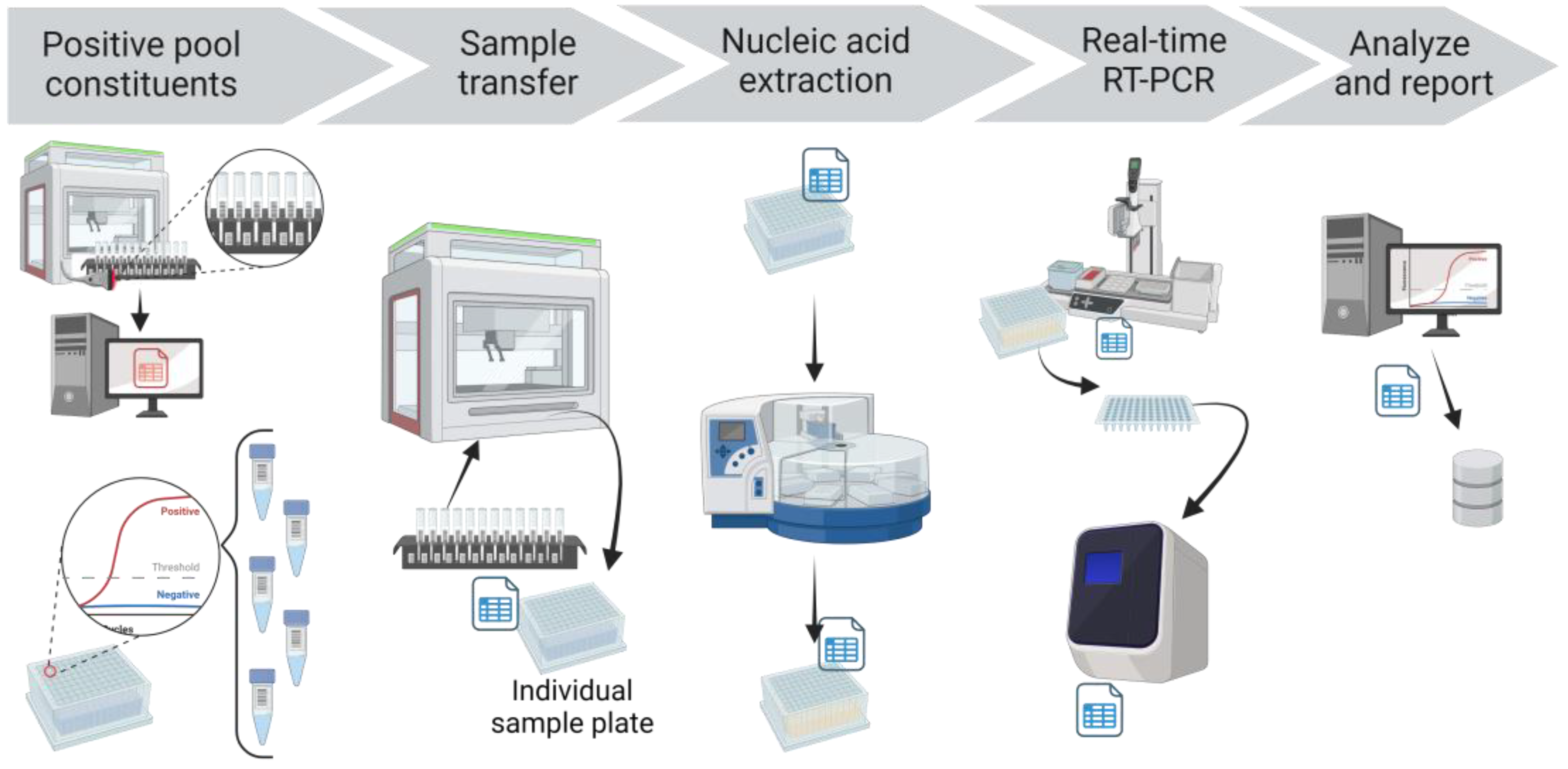 Viruses 15 01555 g004