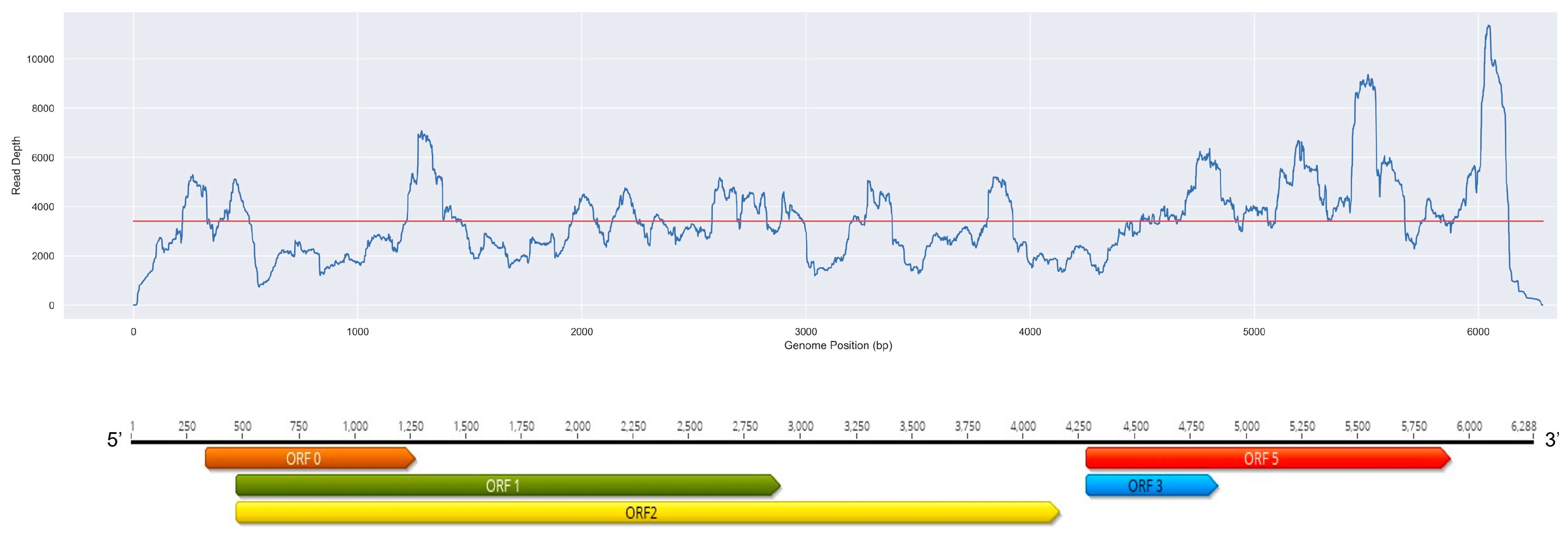 Viruses 15 01561 g002 Viruses 15 01561 g002
