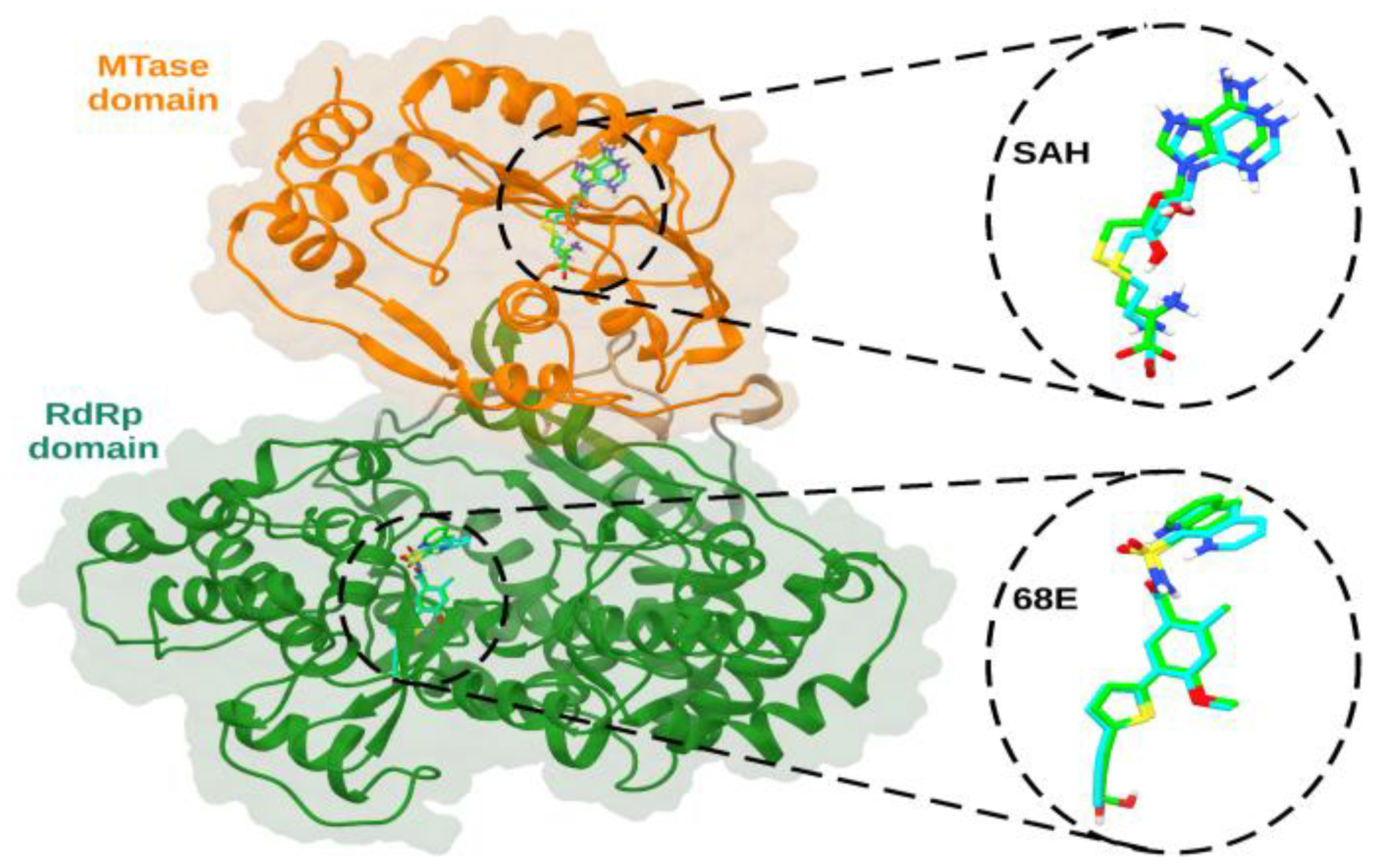 Viruses 15 01563 g001 Viruses 15 01563 g001
