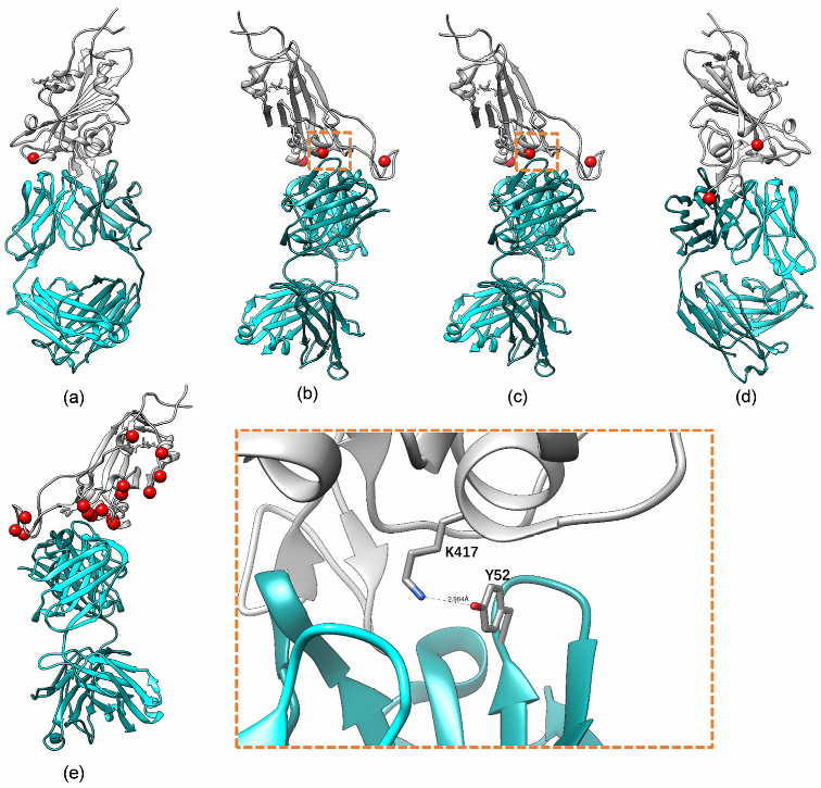 Viruses 15 01565 g002 Viruses 15 01565 g002