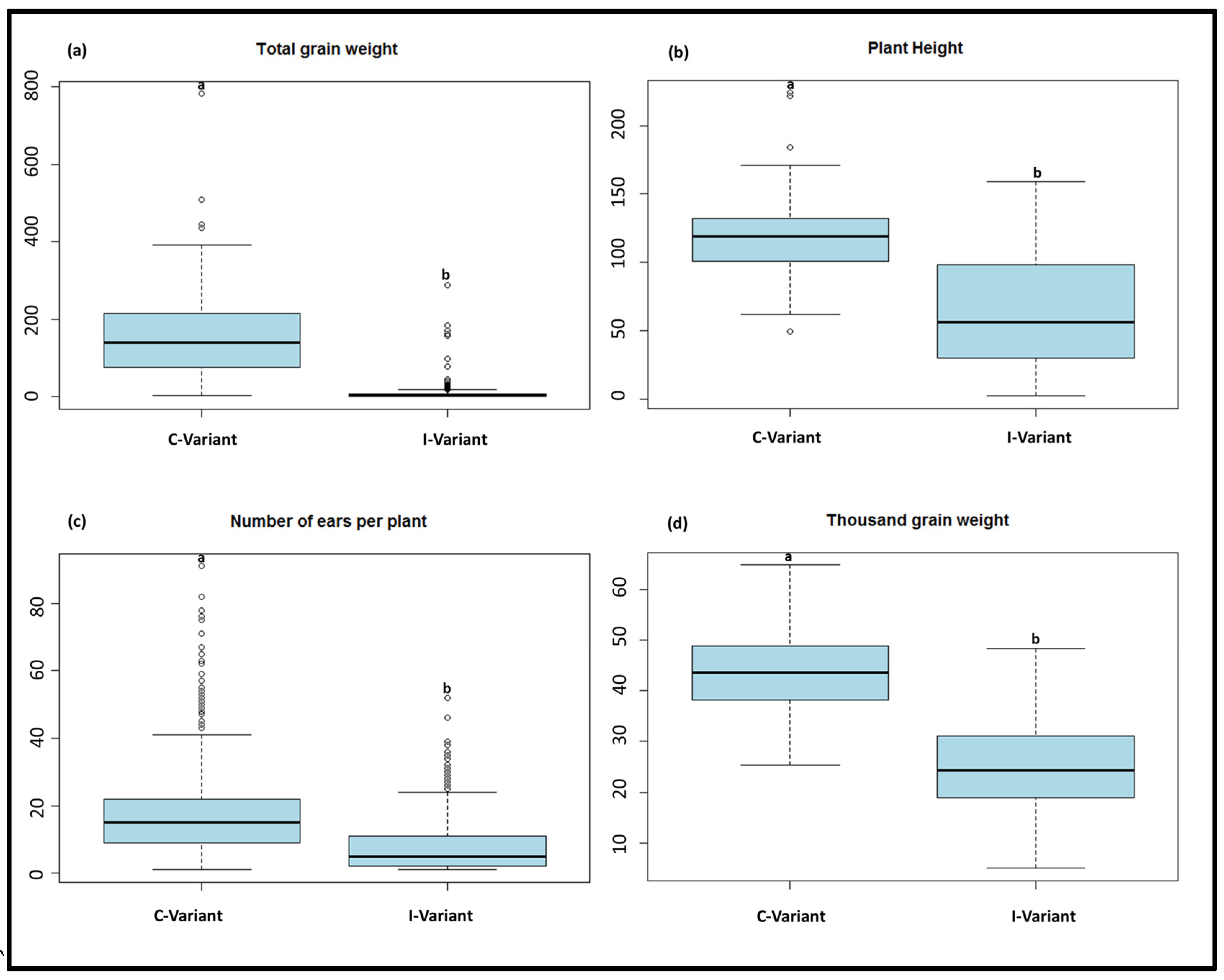 Viruses 15 01568 g002 Viruses 15 01568 g002