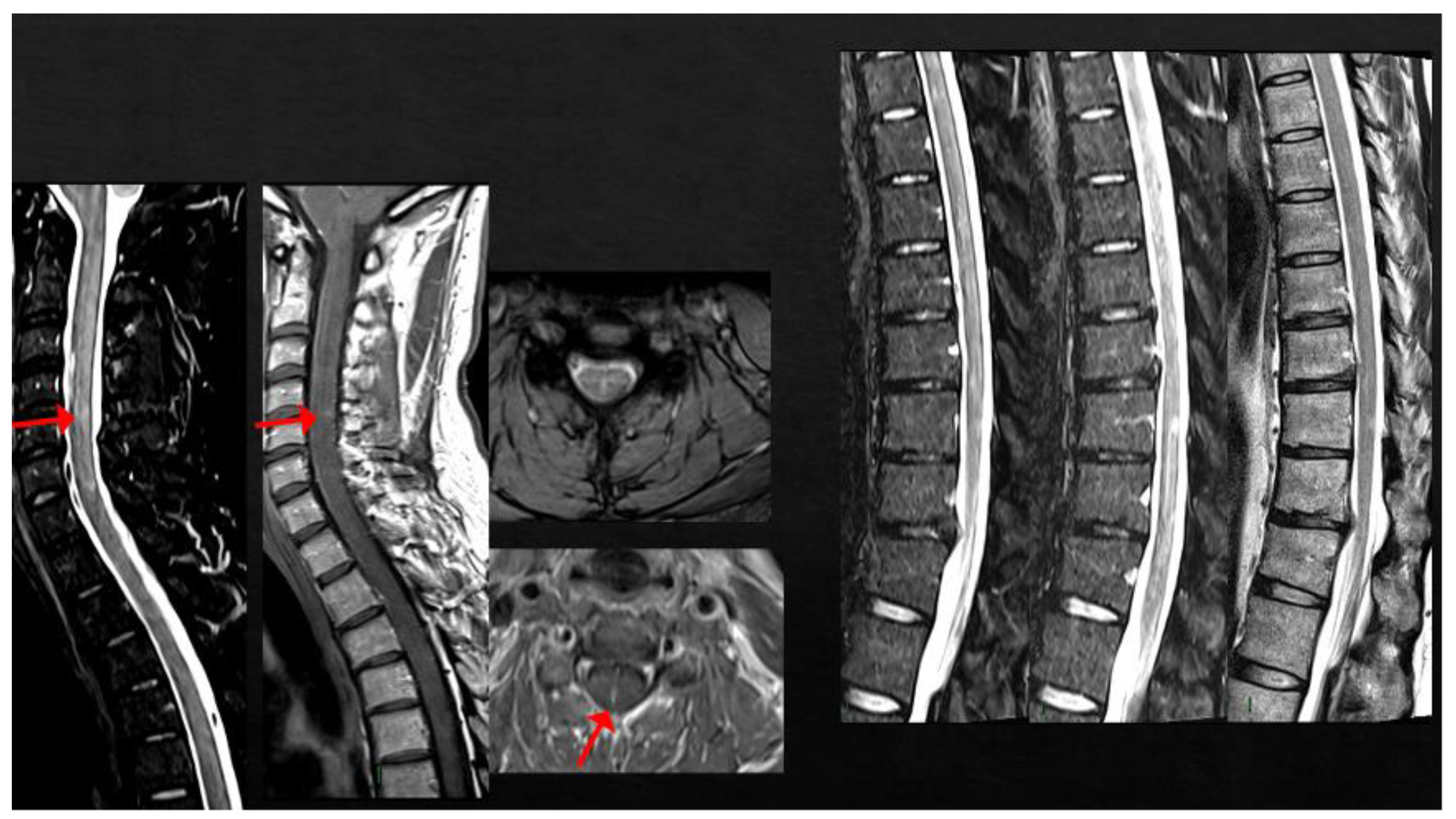 Viruses 15 01569 g007 Viruses 15 01569 g007