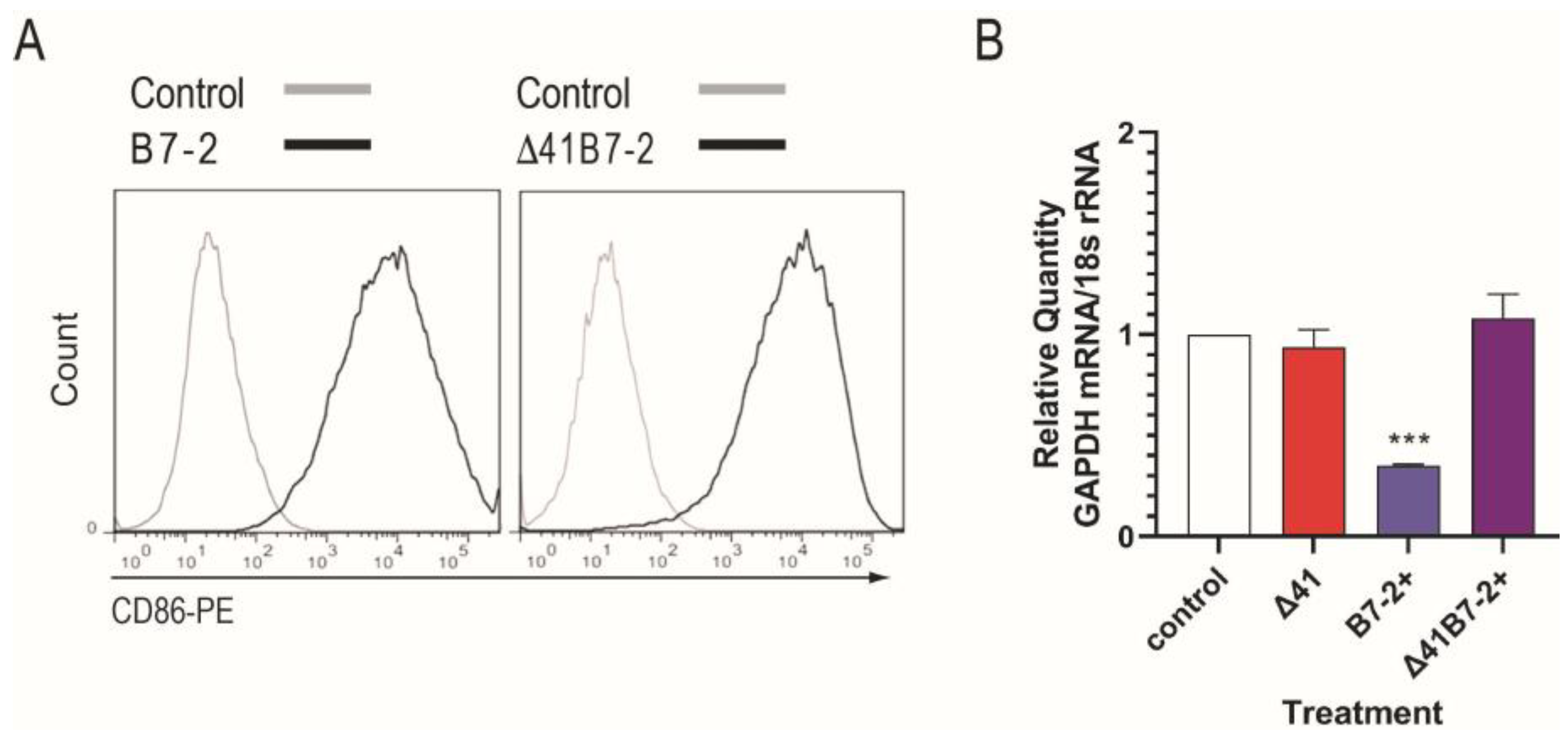 Viruses 15 01570 g002