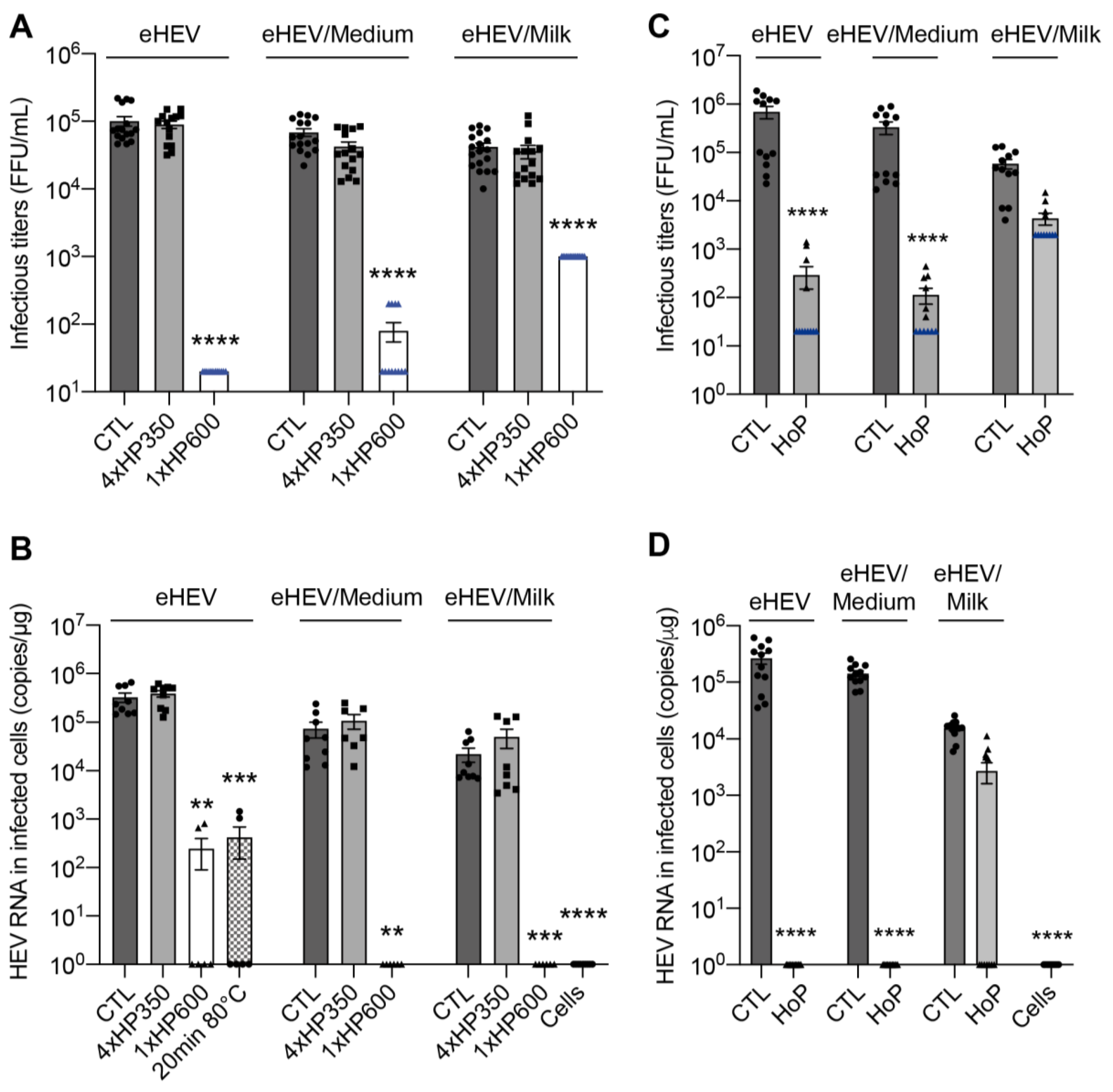 Viruses 15 01571 g004 Viruses 15 01571 g004