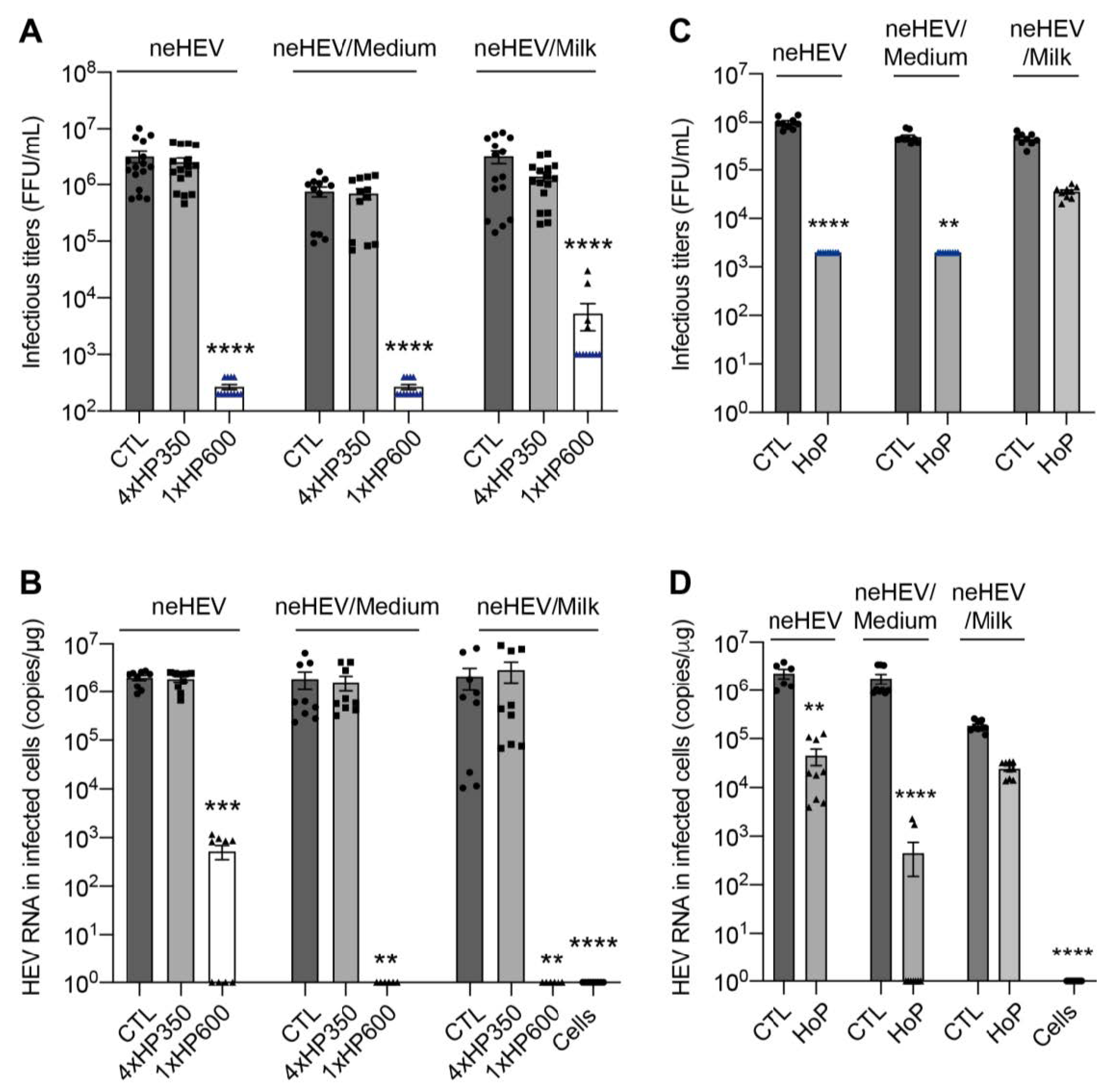 Viruses 15 01571 g005 Viruses 15 01571 g005