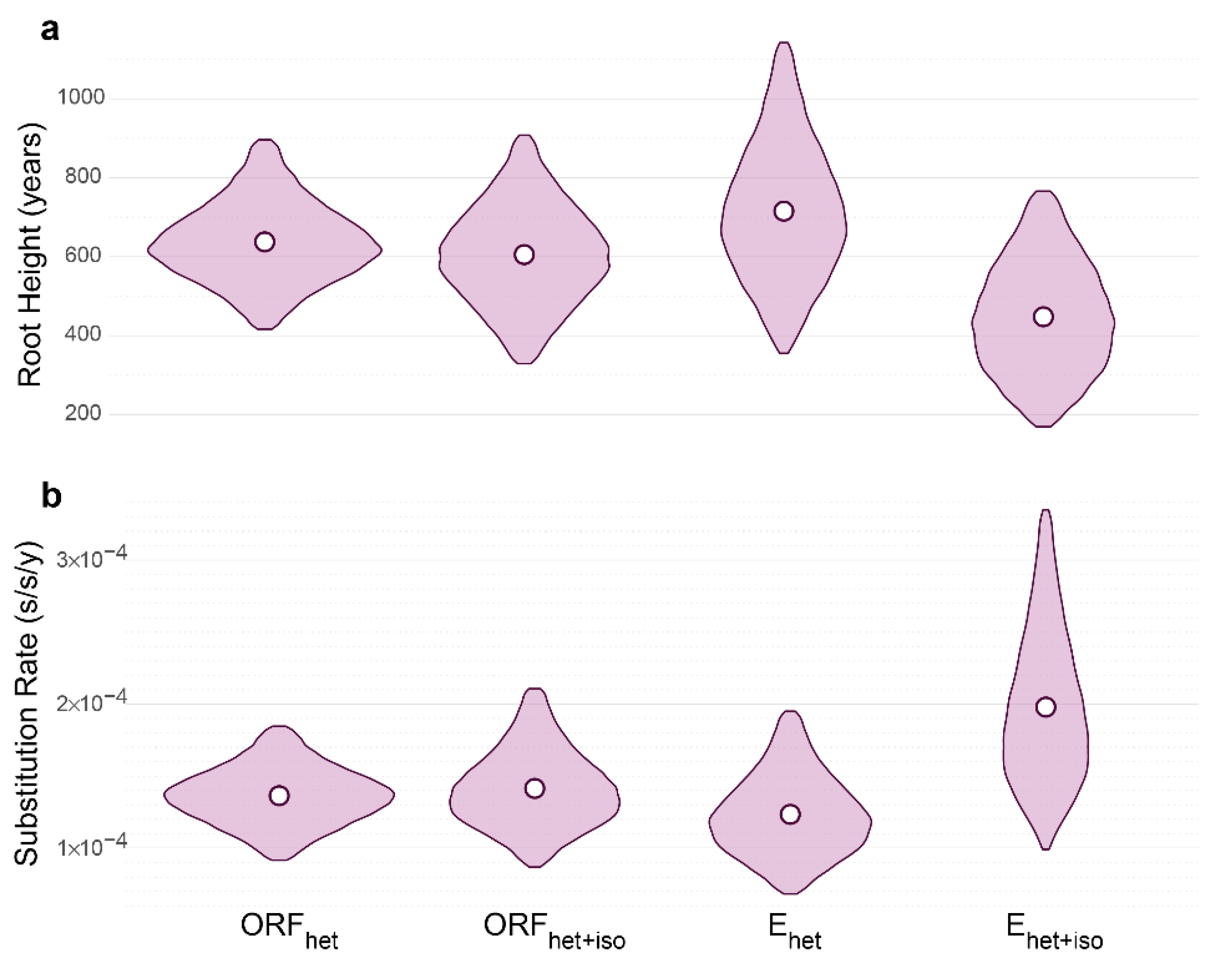 Viruses 15 01576 g002