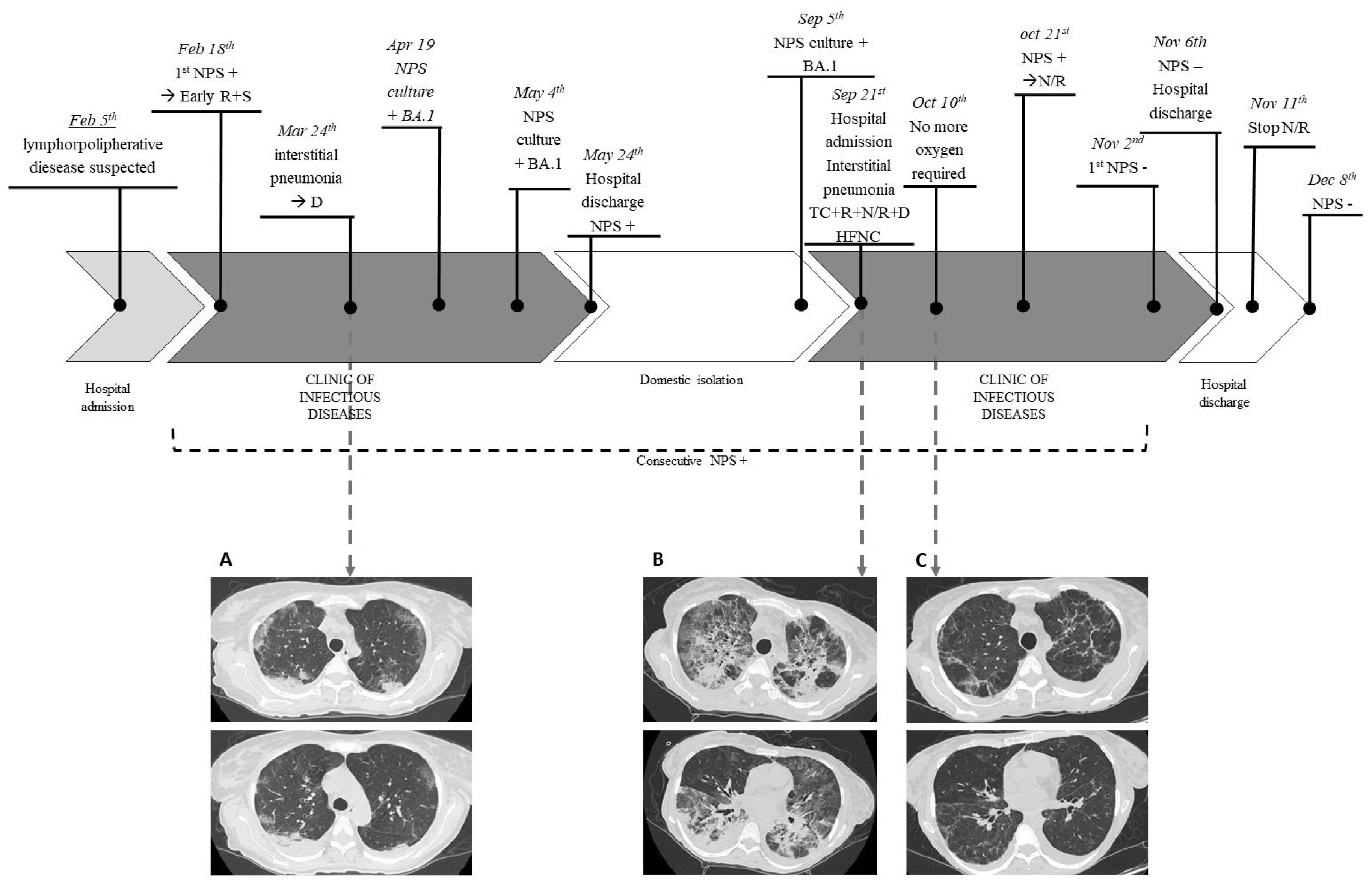 Viruses 15 01577 g003