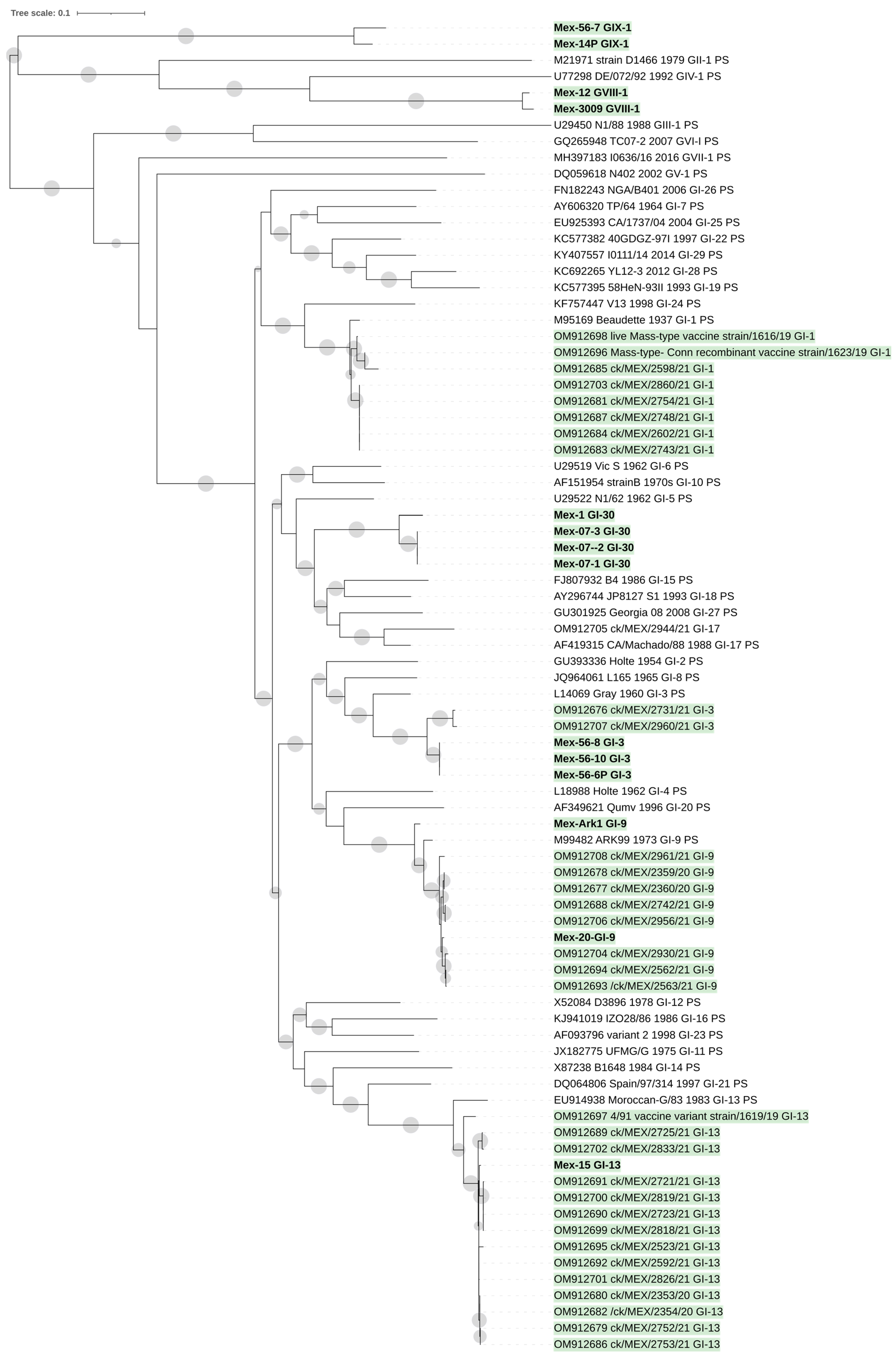 Viruses 15 01581 g001 Viruses 15 01581 g001