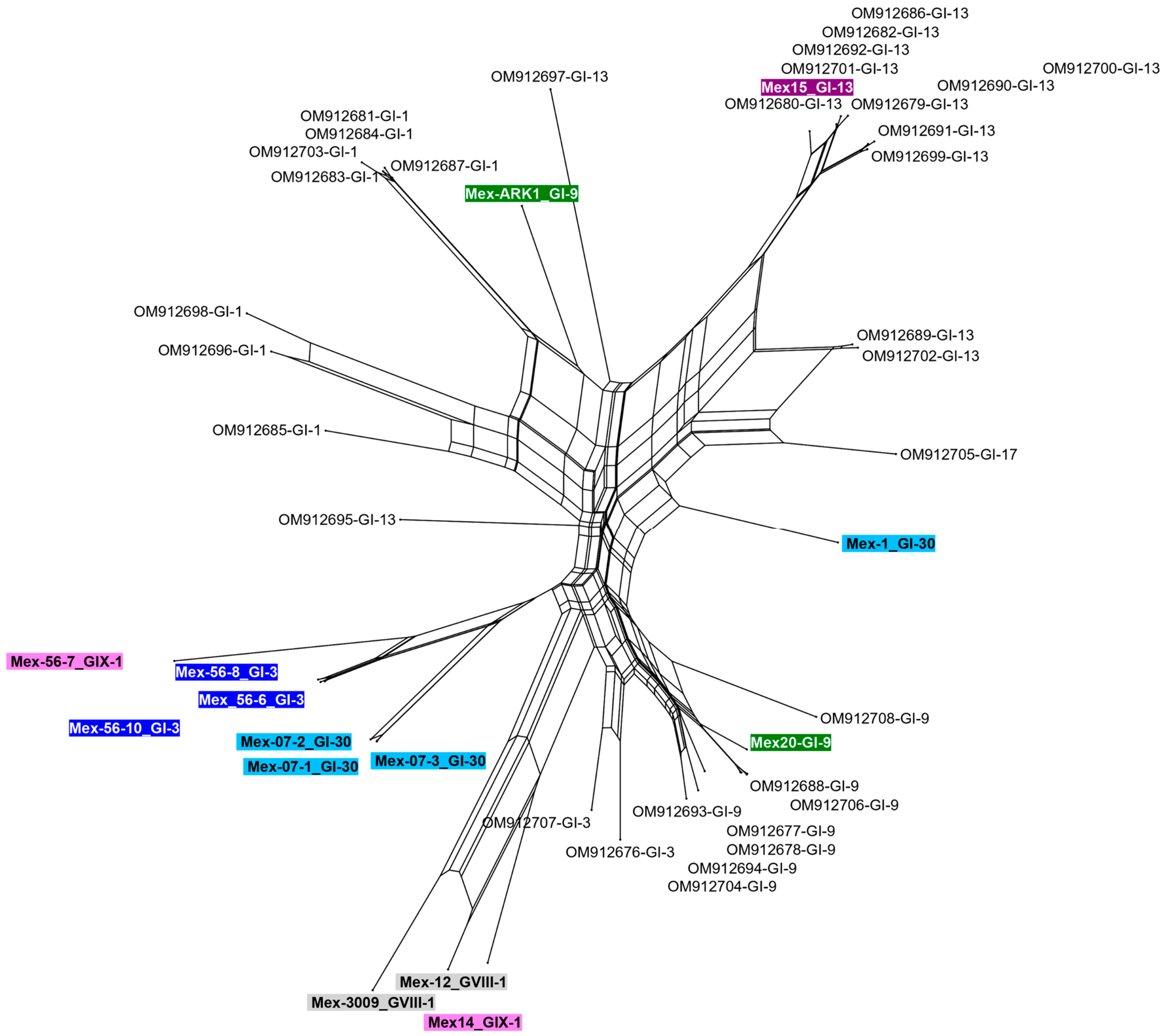 Viruses 15 01581 g002 Viruses 15 01581 g002