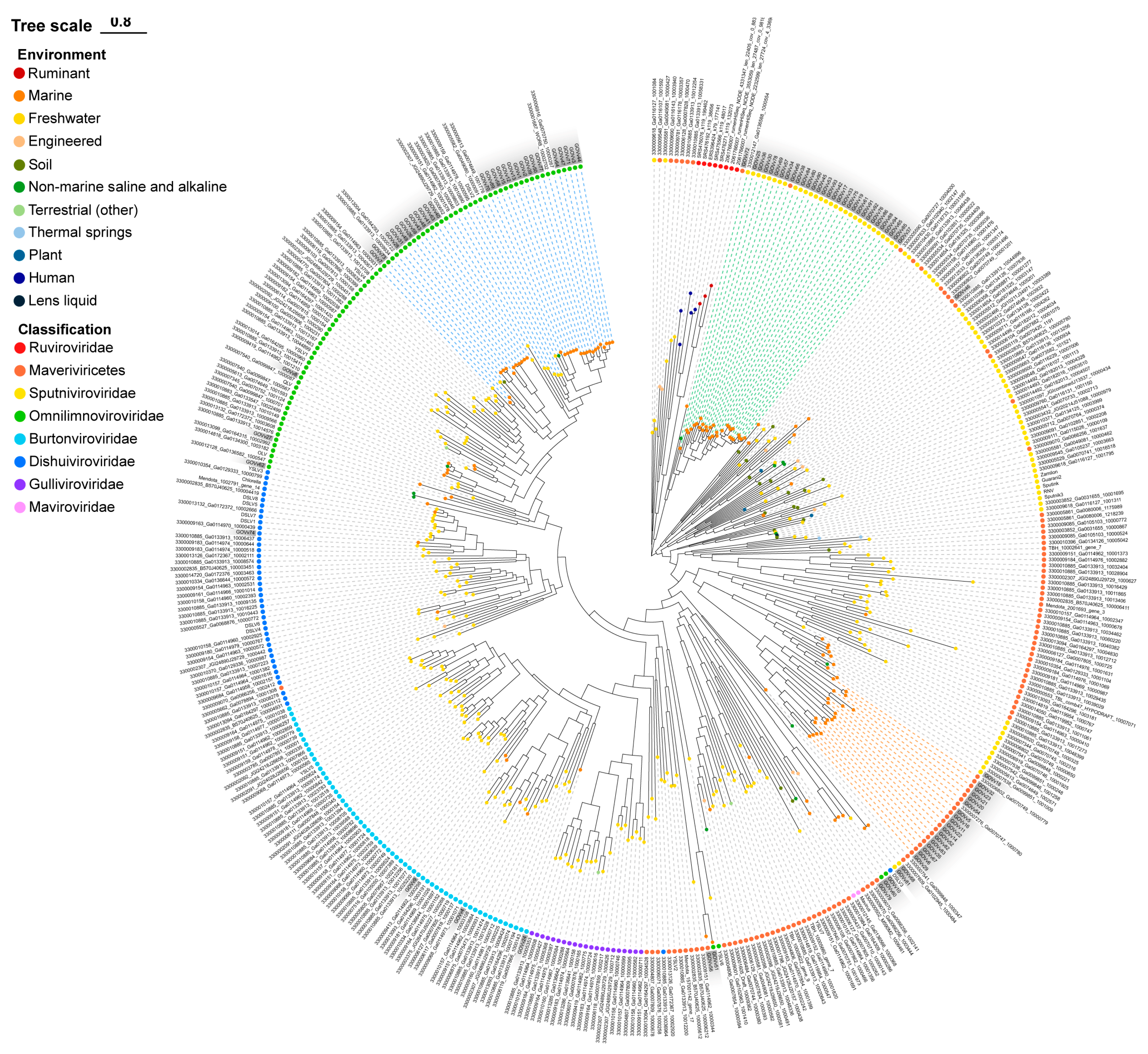 Viruses 15 01582 g002 Viruses 15 01582 g002
