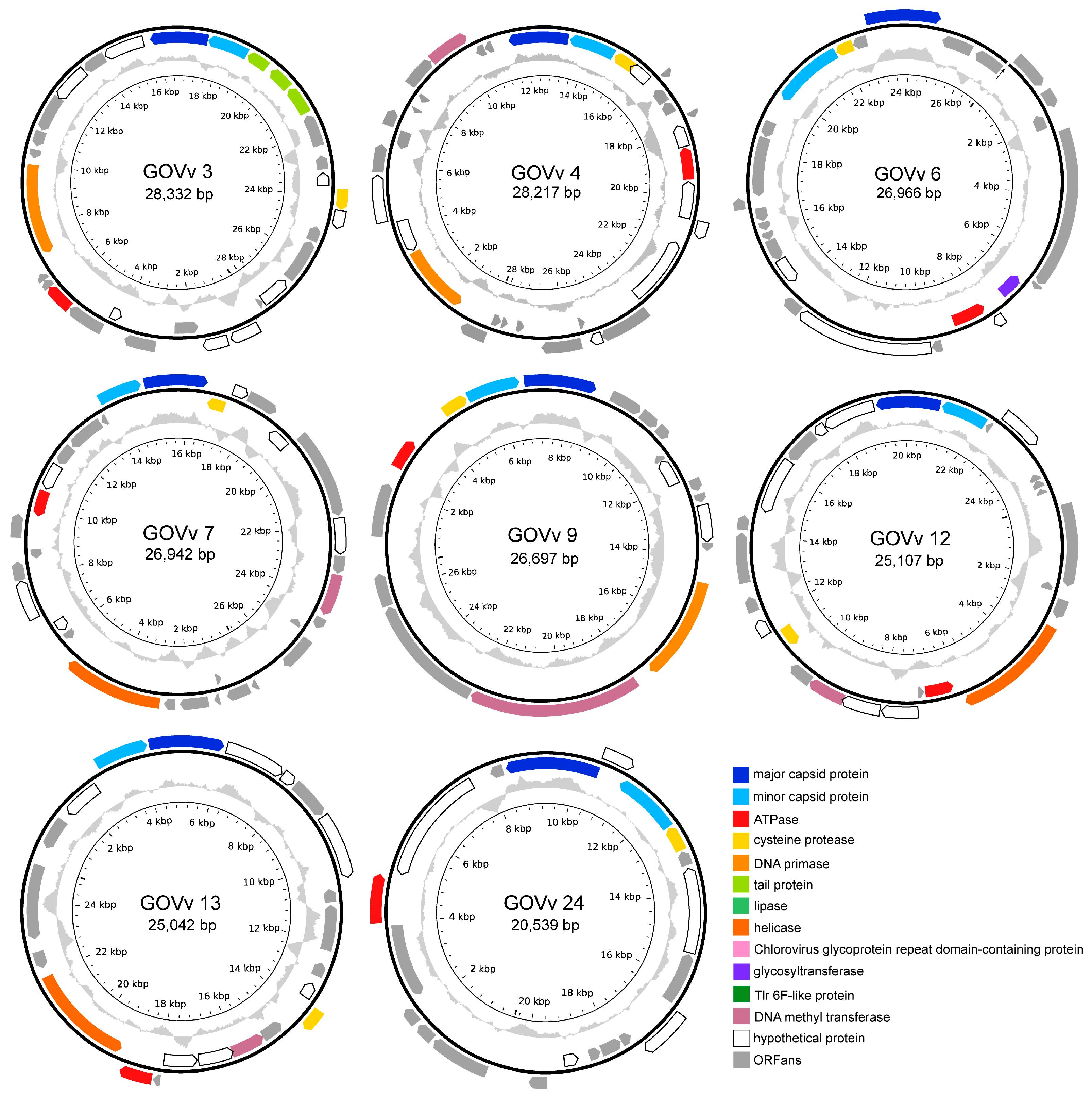 Viruses 15 01582 g004 Viruses 15 01582 g004