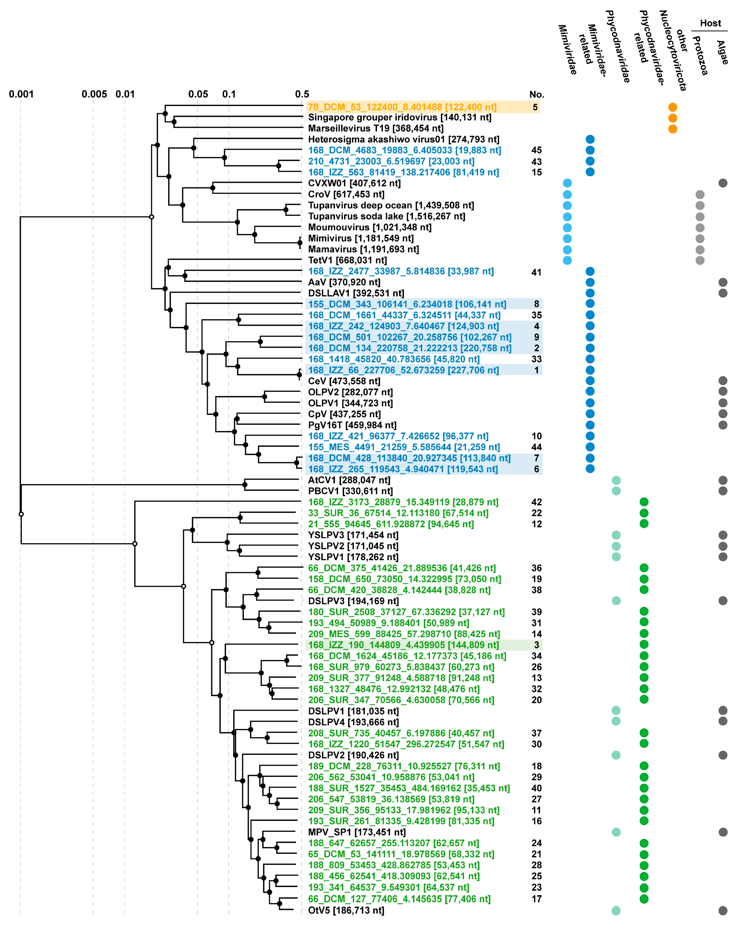 Viruses 15 01582 g005 Viruses 15 01582 g005